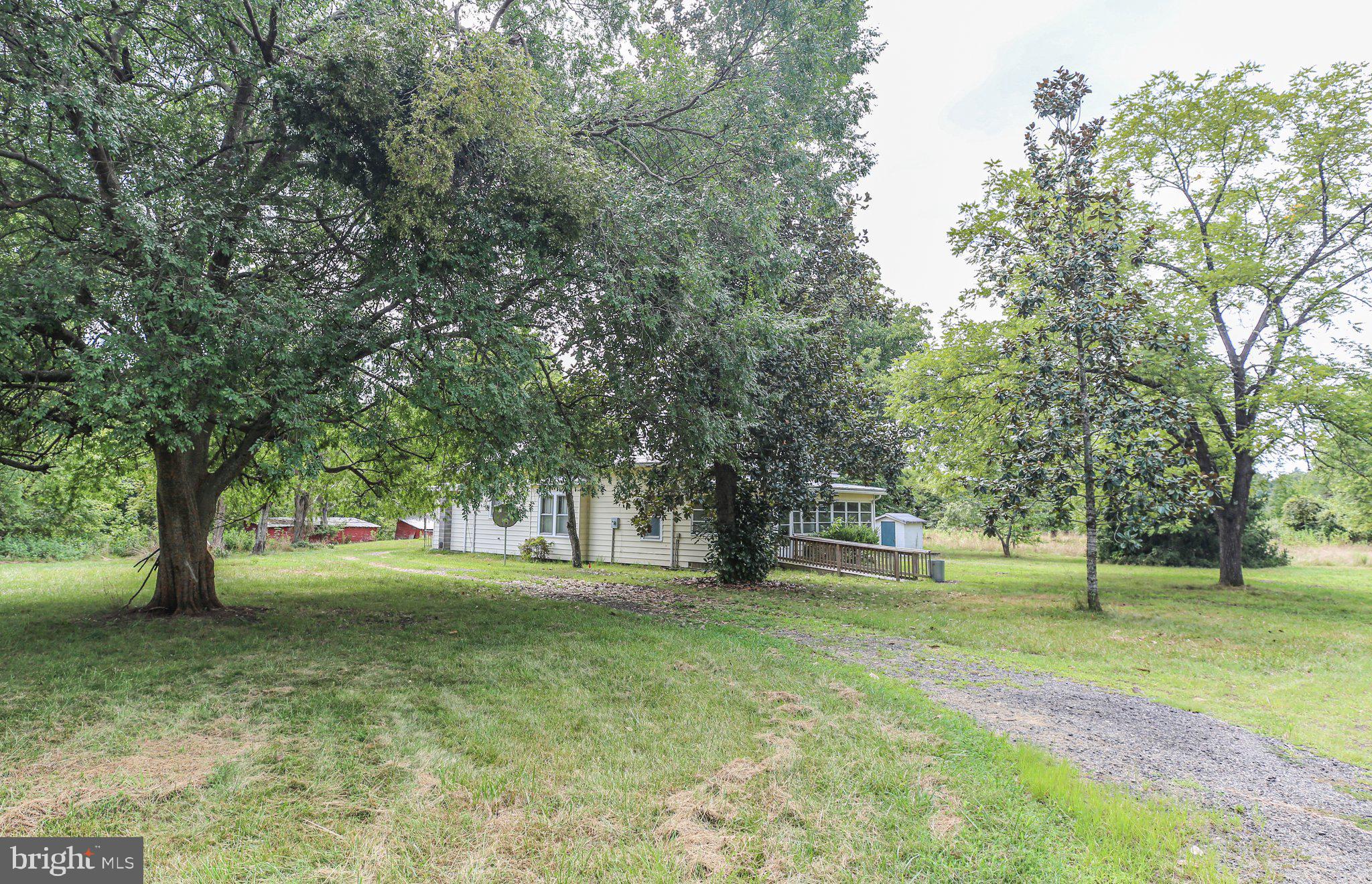 14534 Springfield Lane