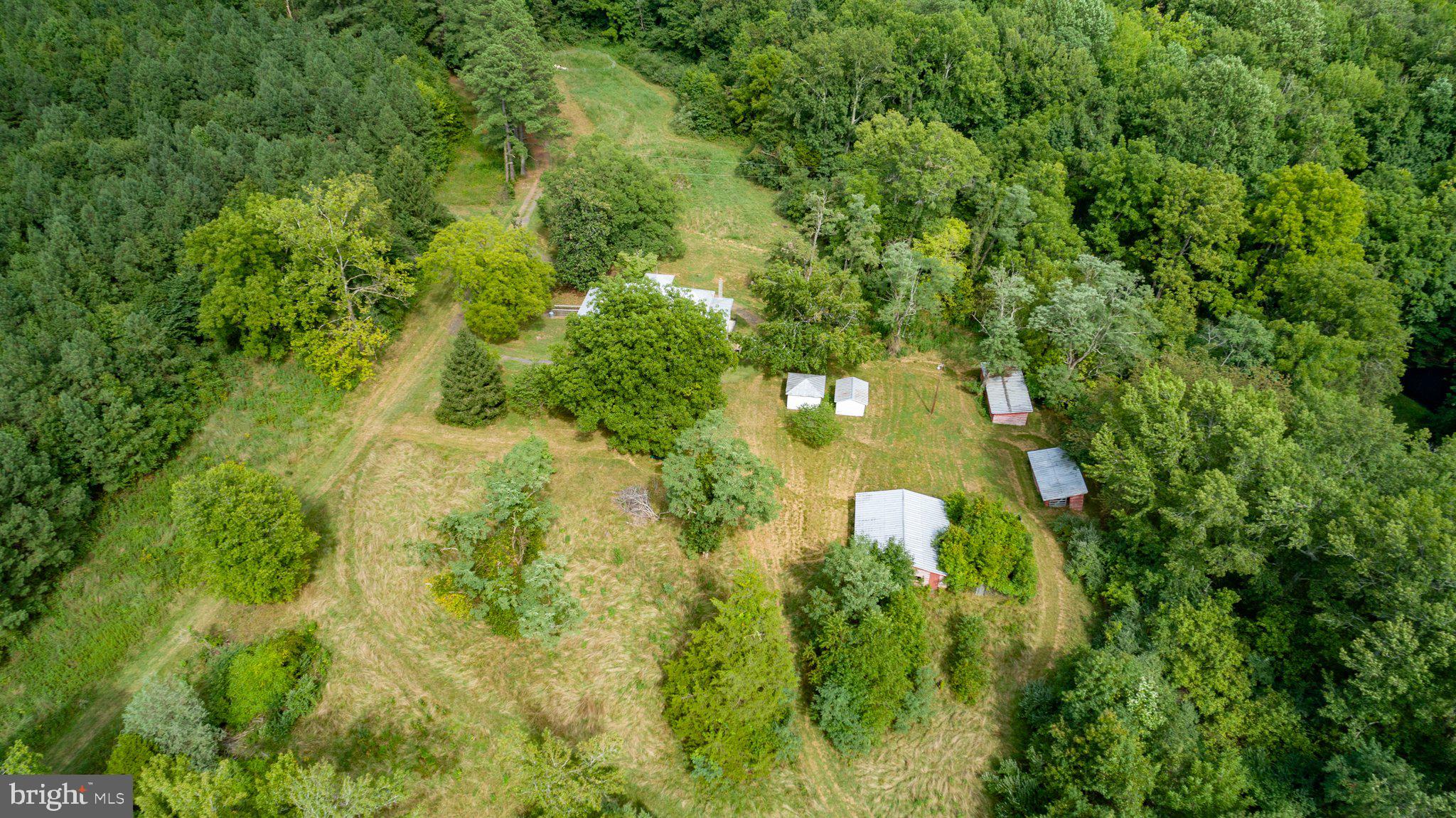 14534 Springfield Lane