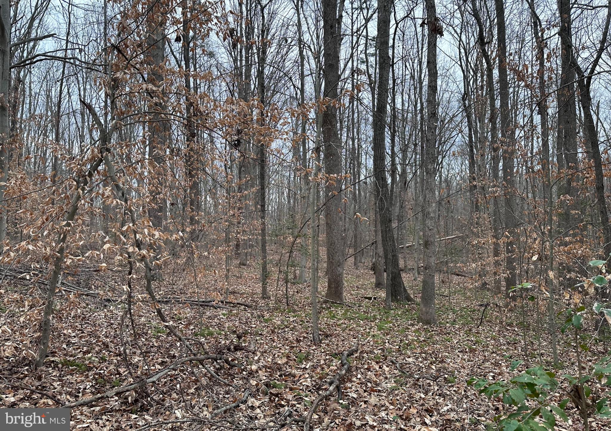 Lot 3A BELLE MEADE ROAD