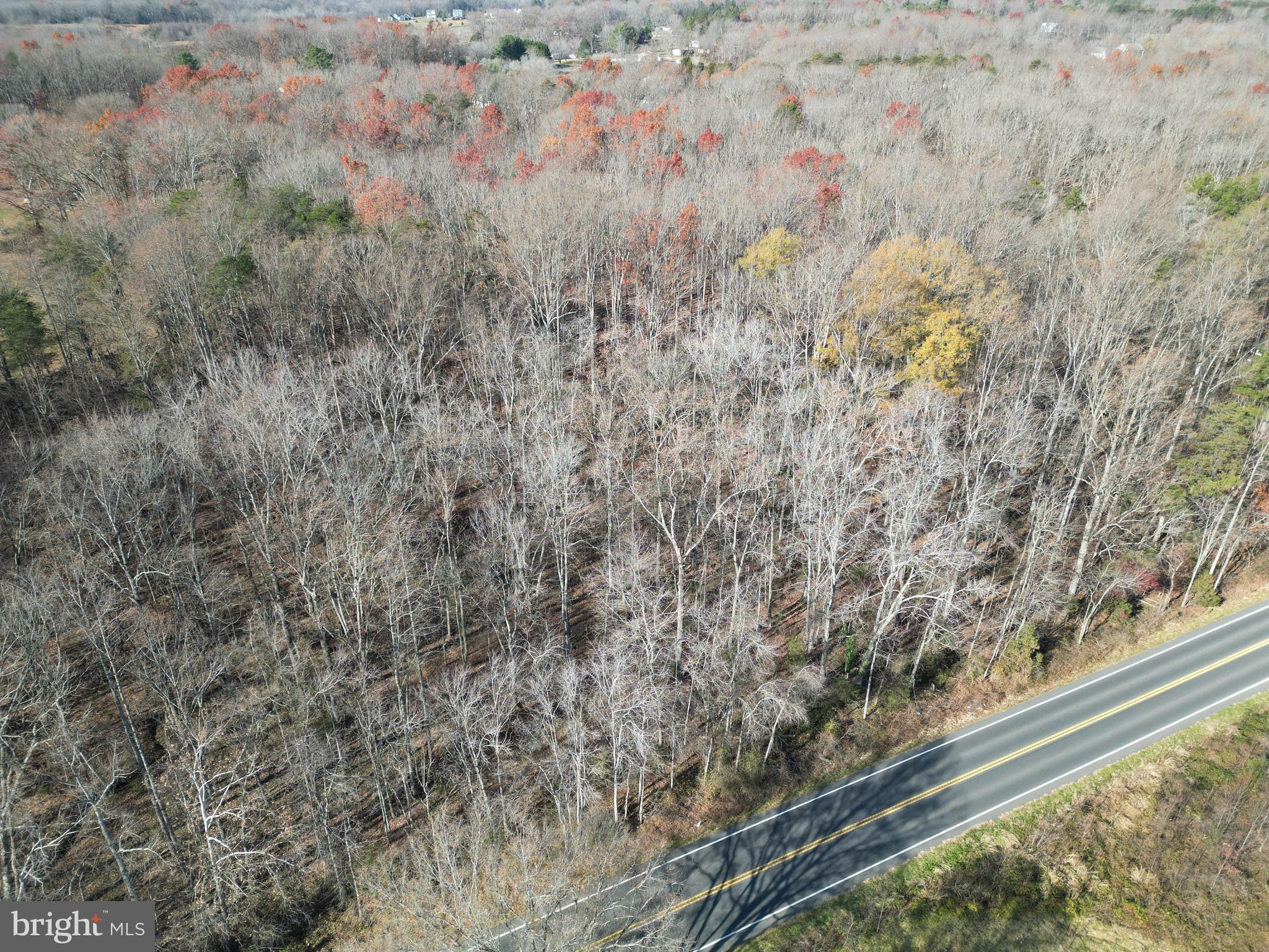 ZACHARY TAYLOR HIGHWAY