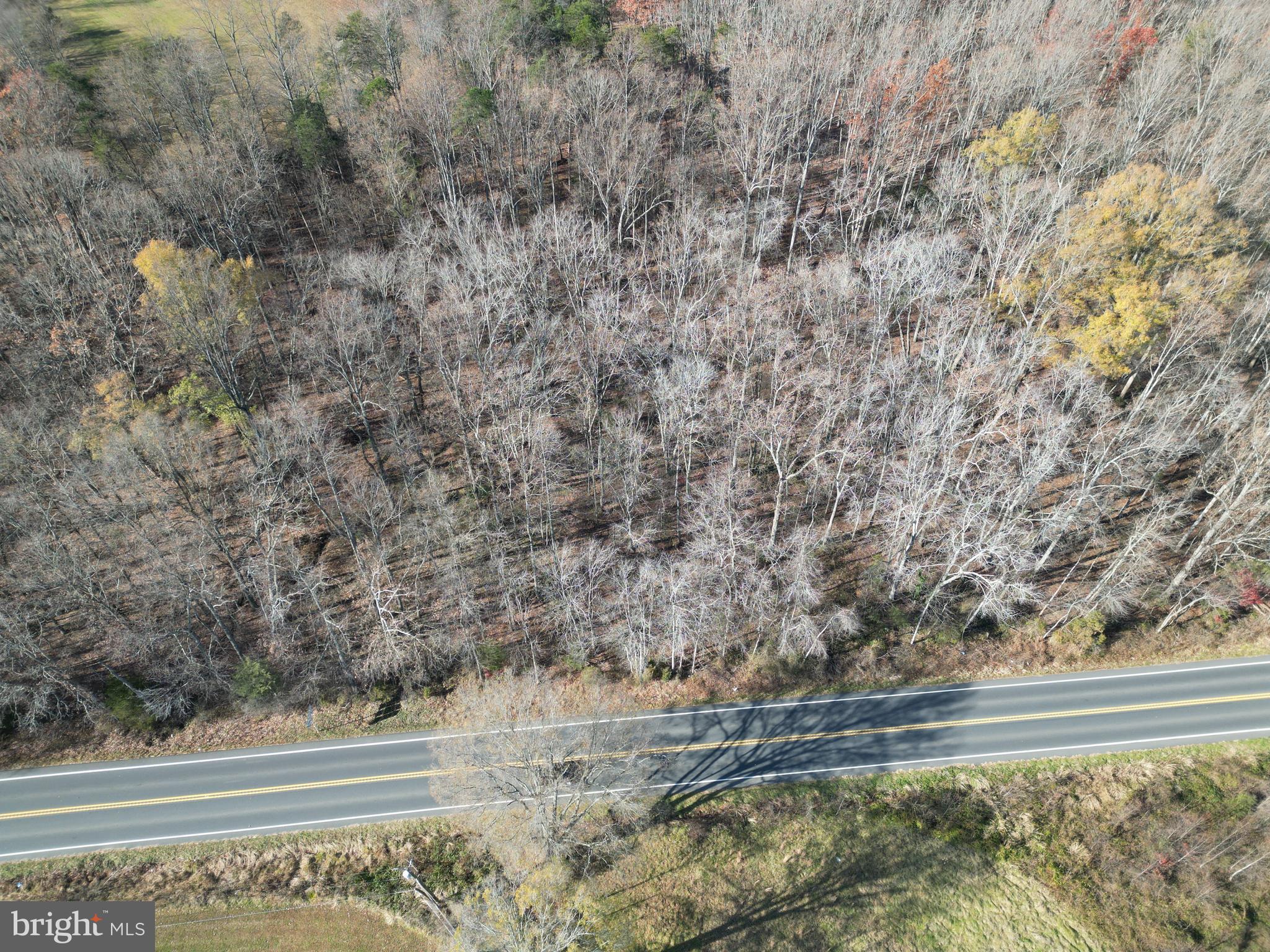 ZACHARY TAYLOR HIGHWAY