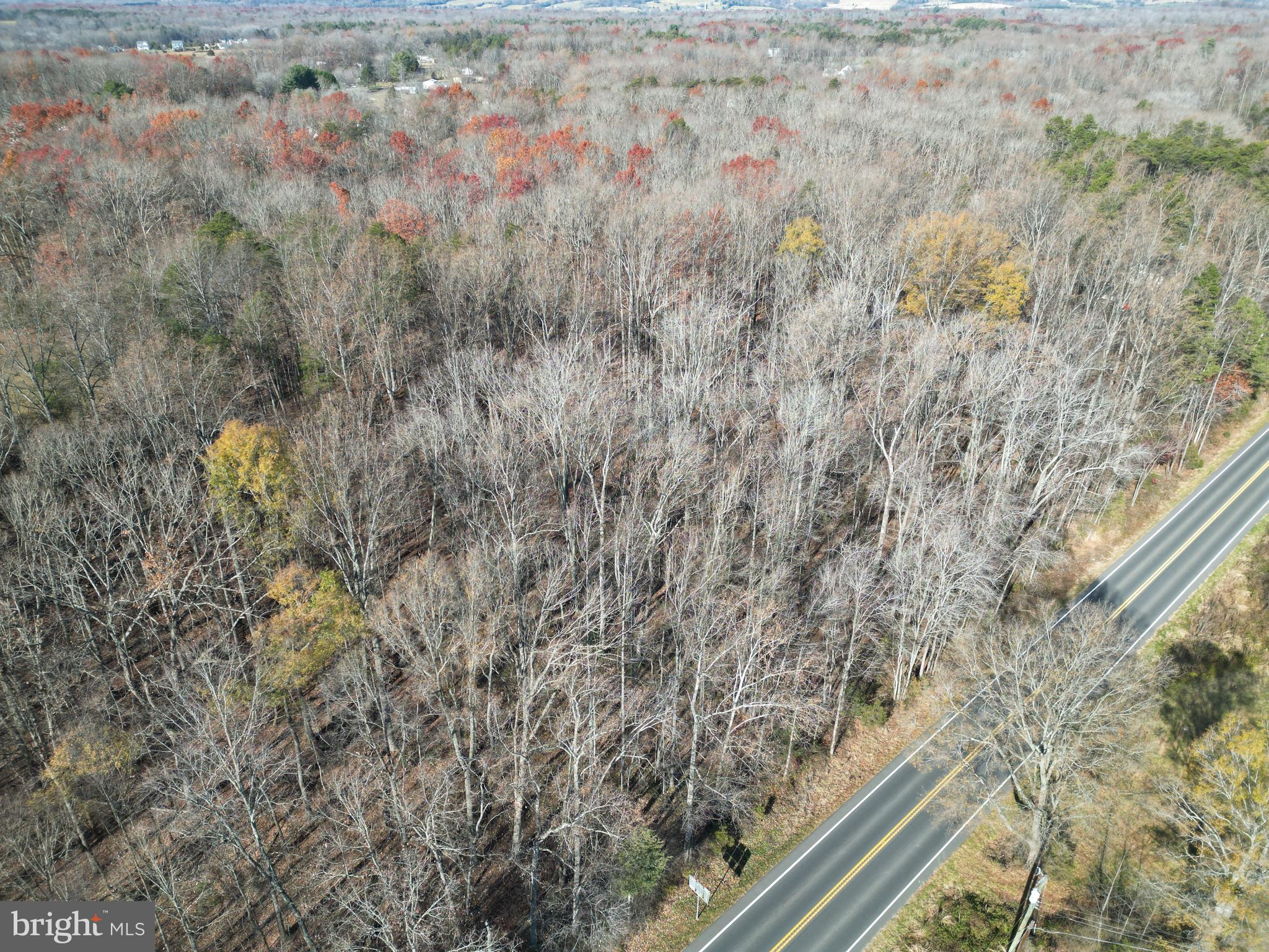 ZACHARY TAYLOR HIGHWAY