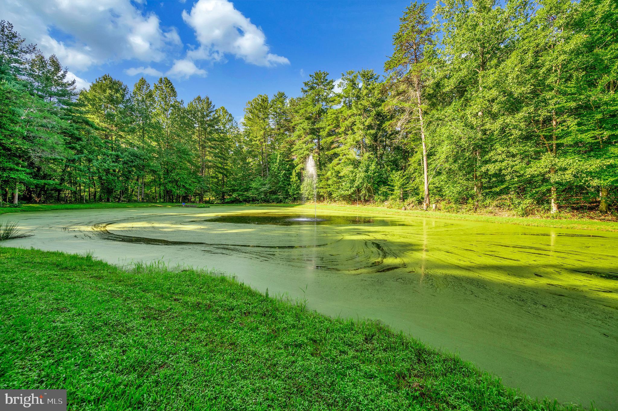 15181 SERENITY PASS LANE