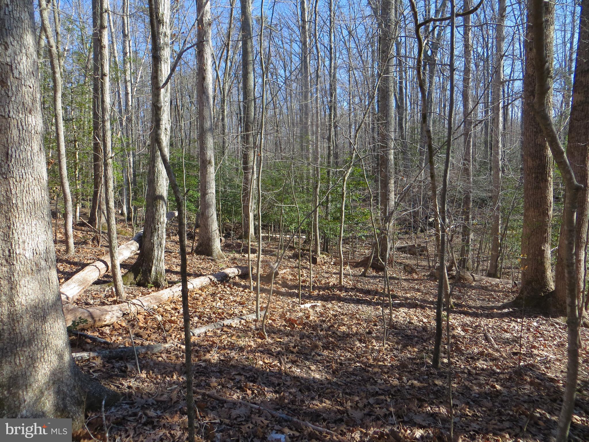 905 EASTOVER PARKWAY