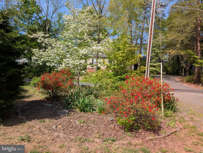 322 BIRCHSIDE CIRCLE