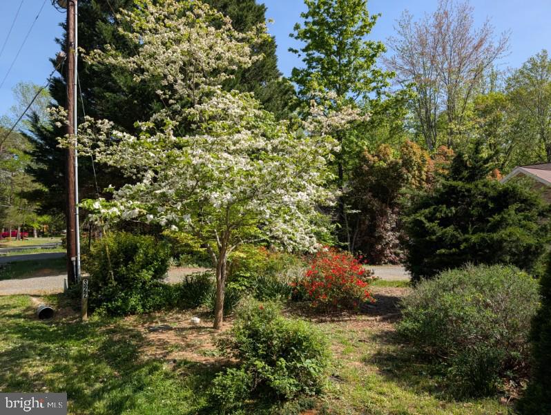 322 BIRCHSIDE CIRCLE