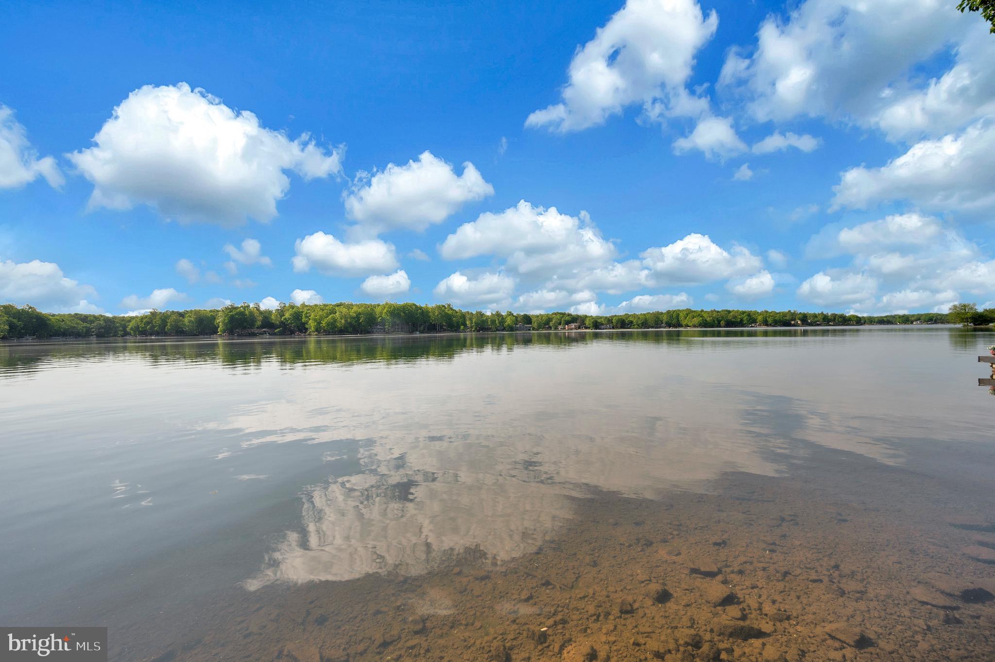 626 CORNWALLIS AVENUE