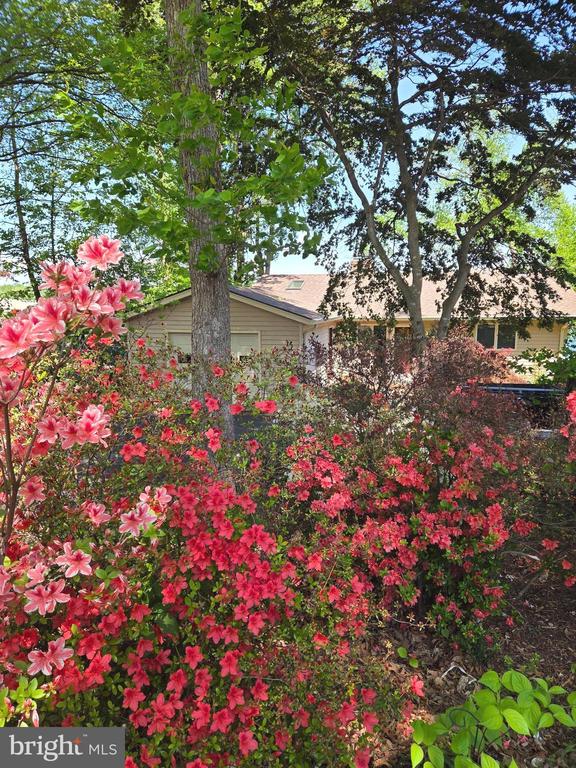 126 GREEN SPRING ROAD