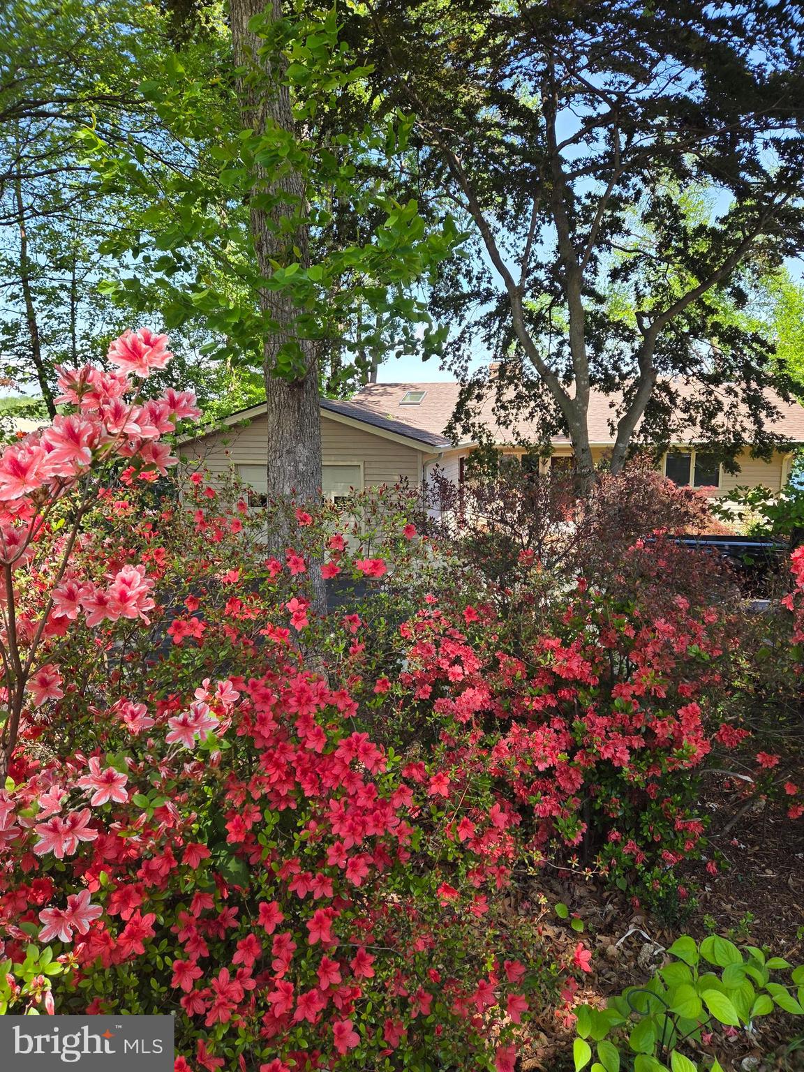 126 GREEN SPRING ROAD