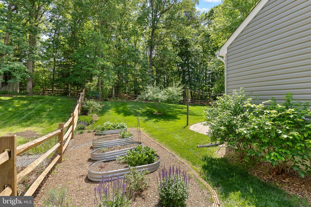 3587 LIONS FIELD ROAD