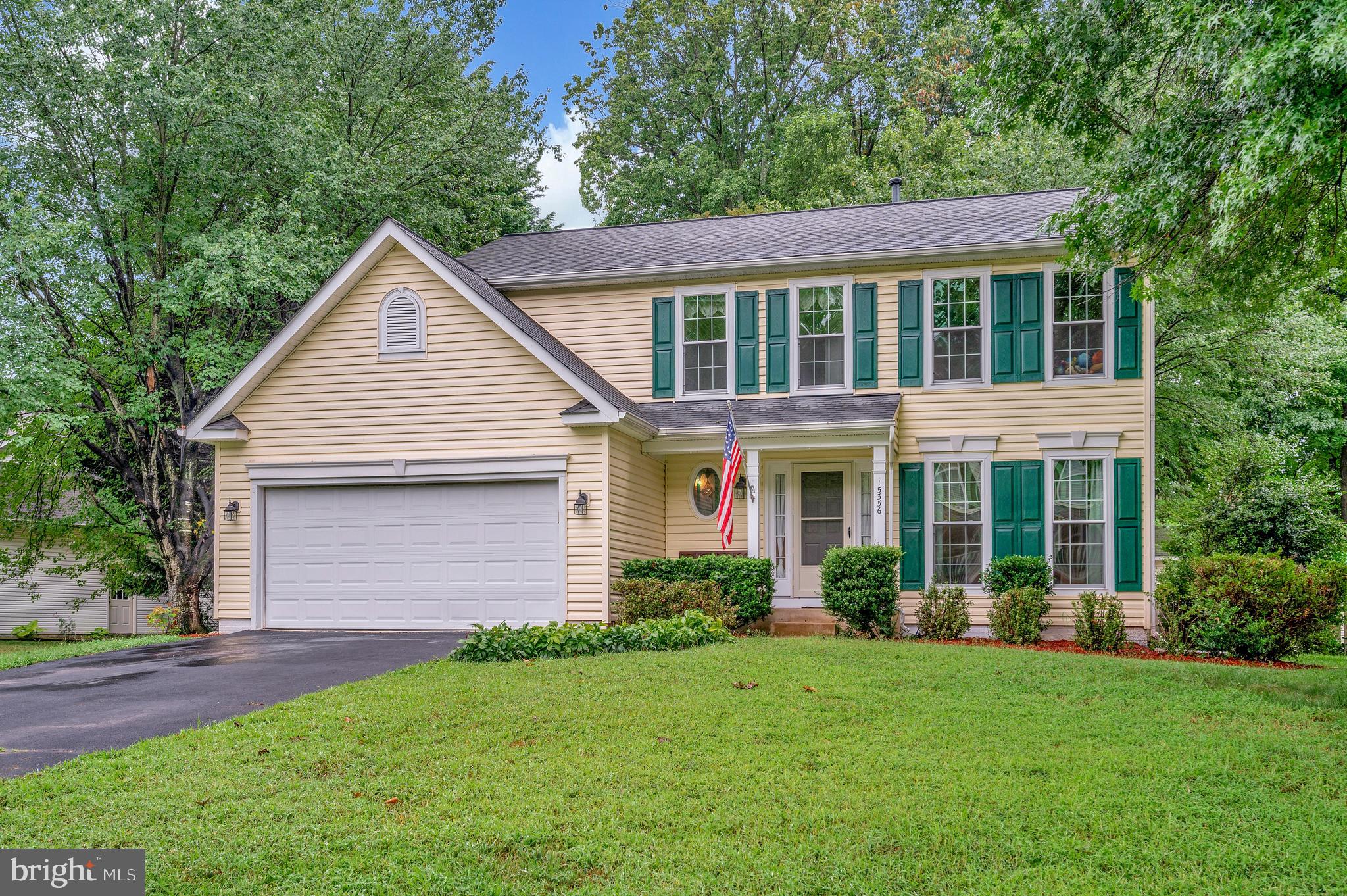 15356 BALD EAGLE LANE