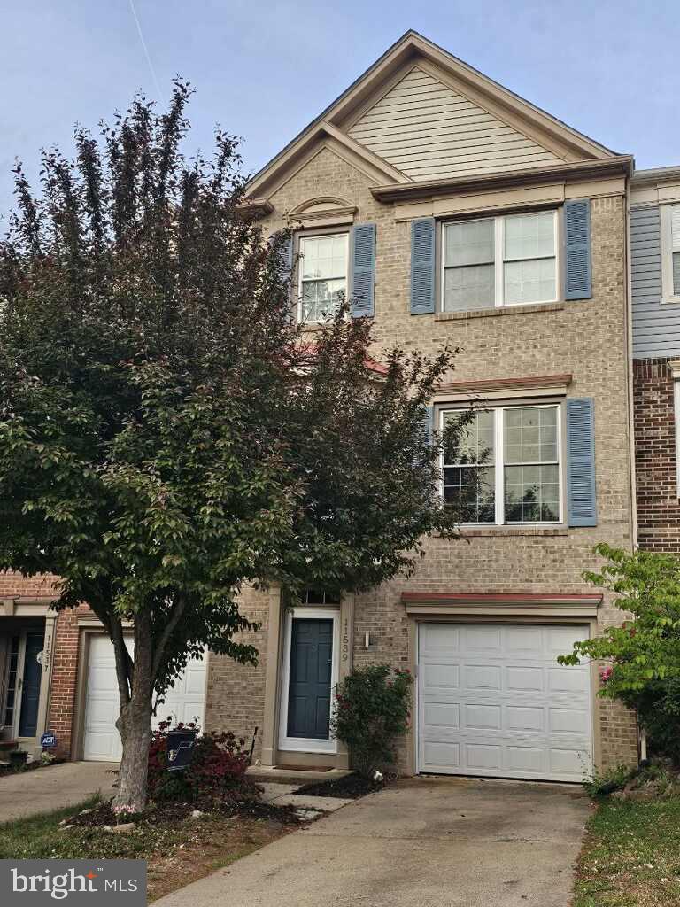 11539 BERTRAM STREET