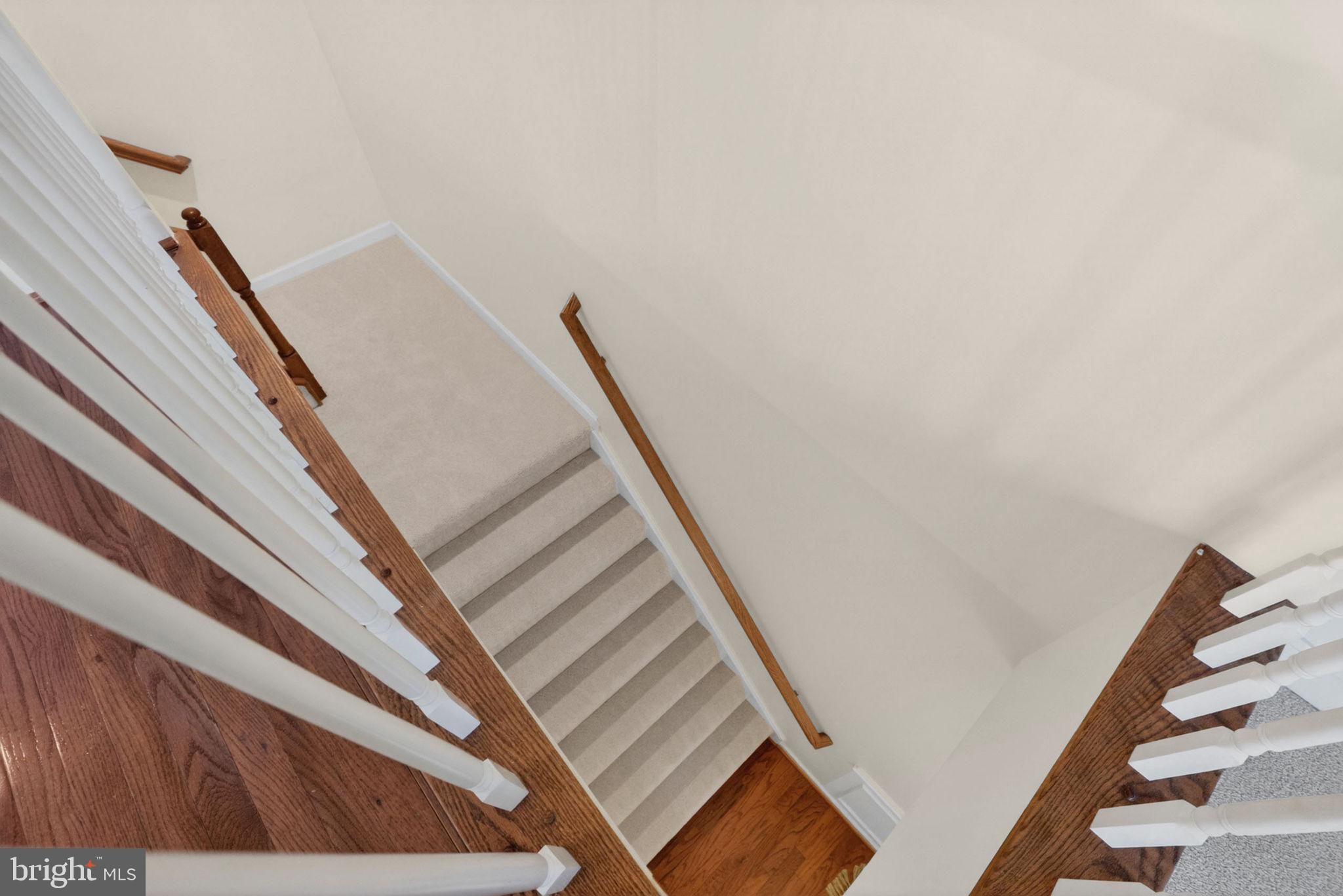 14103 CATBIRD DRIVE