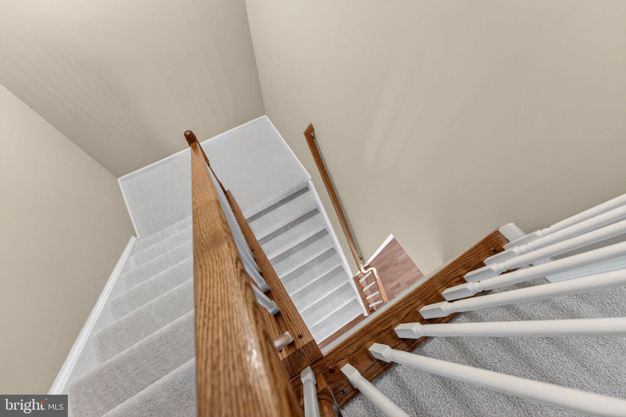 14103 CATBIRD DRIVE