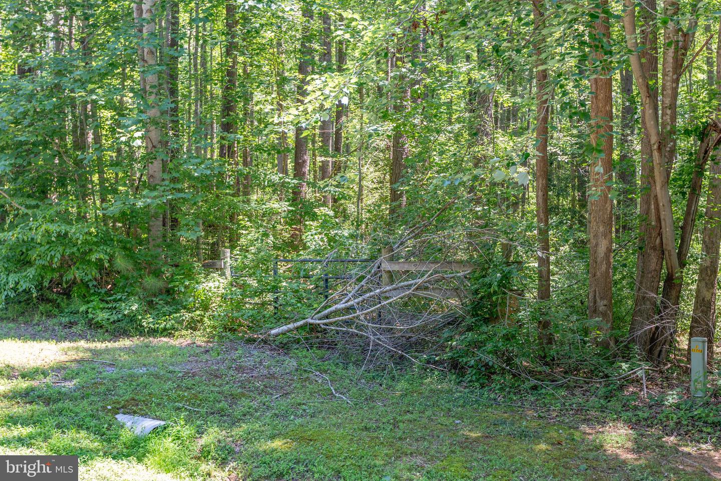 11149 Piney Forest Rd