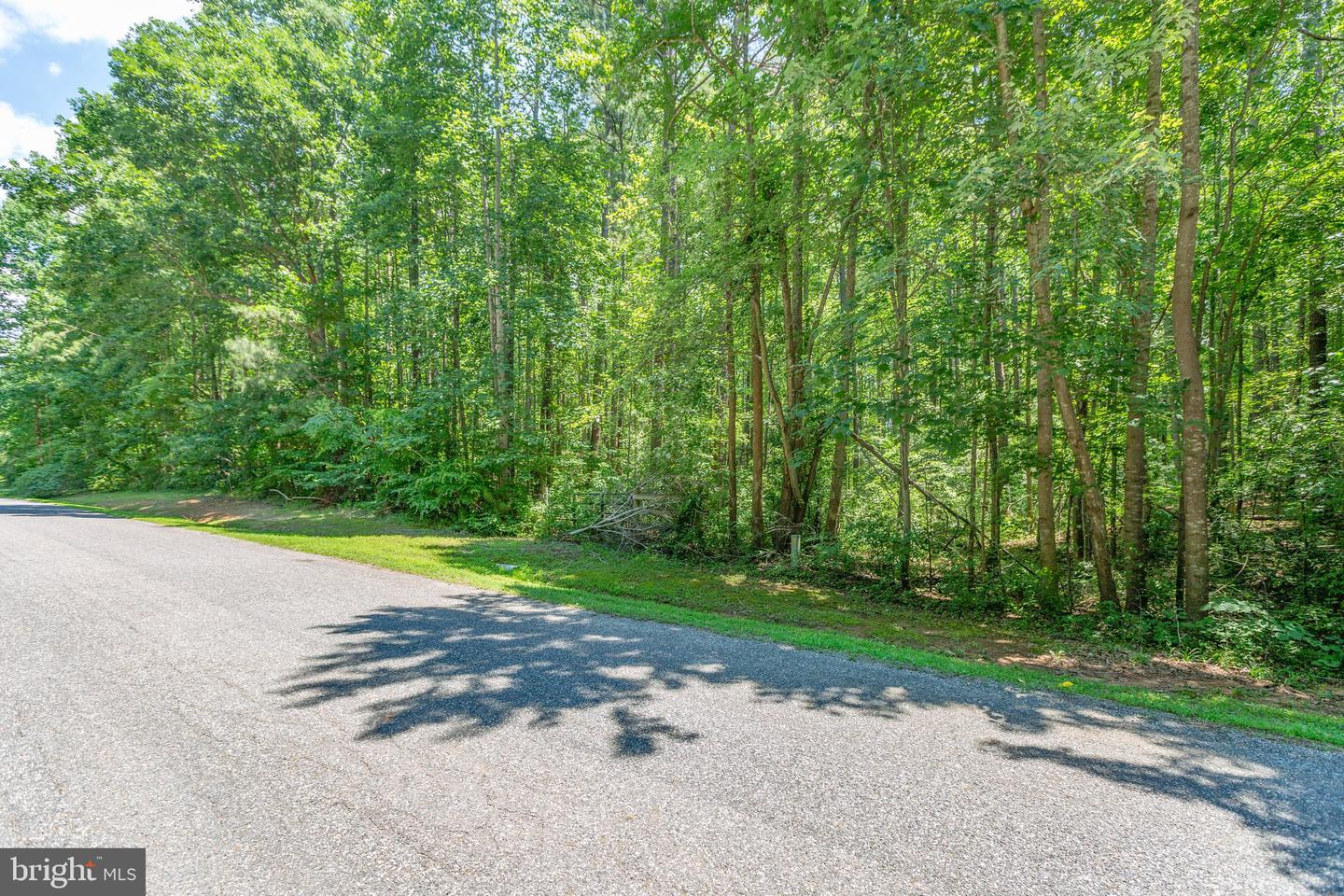 11149 Piney Forest Rd