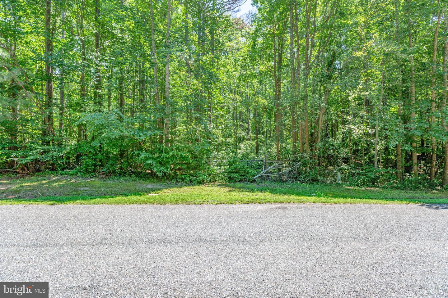 11149 Piney Forest Rd