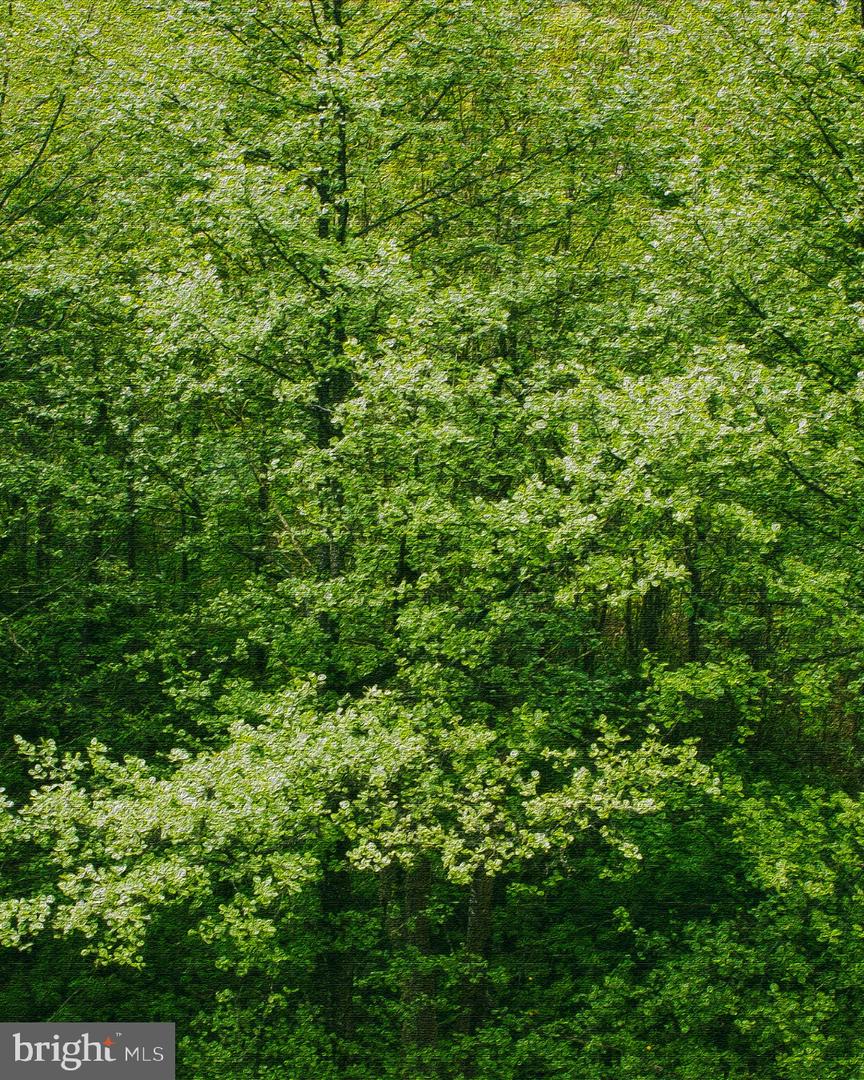 9107 Granite Springs Rd