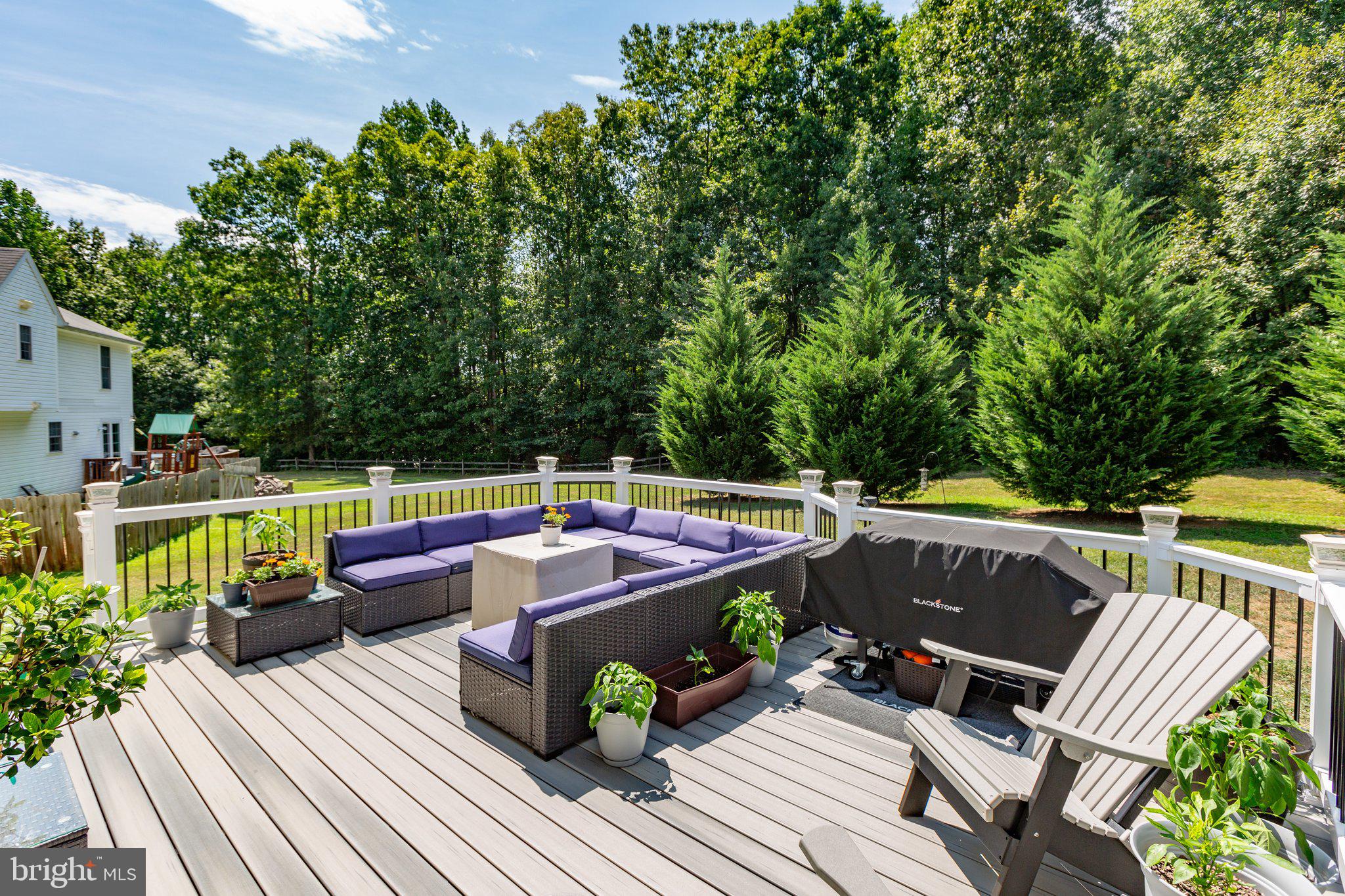 11106 Huntington Meadows Ln