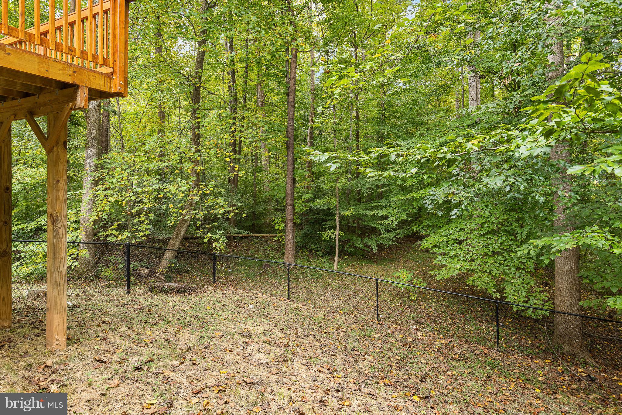 10000 KNOTTY PINE COURT