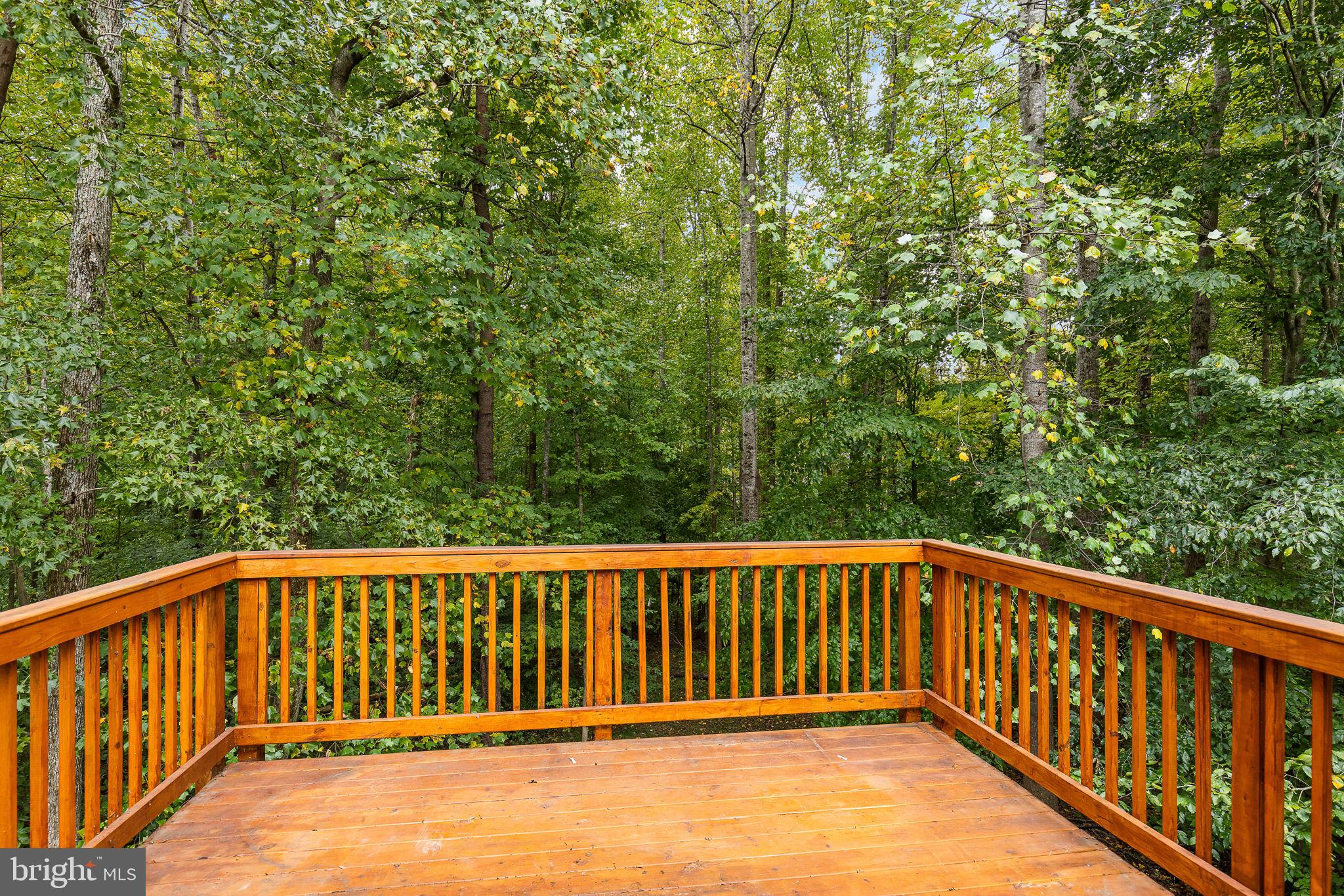 10000 KNOTTY PINE COURT