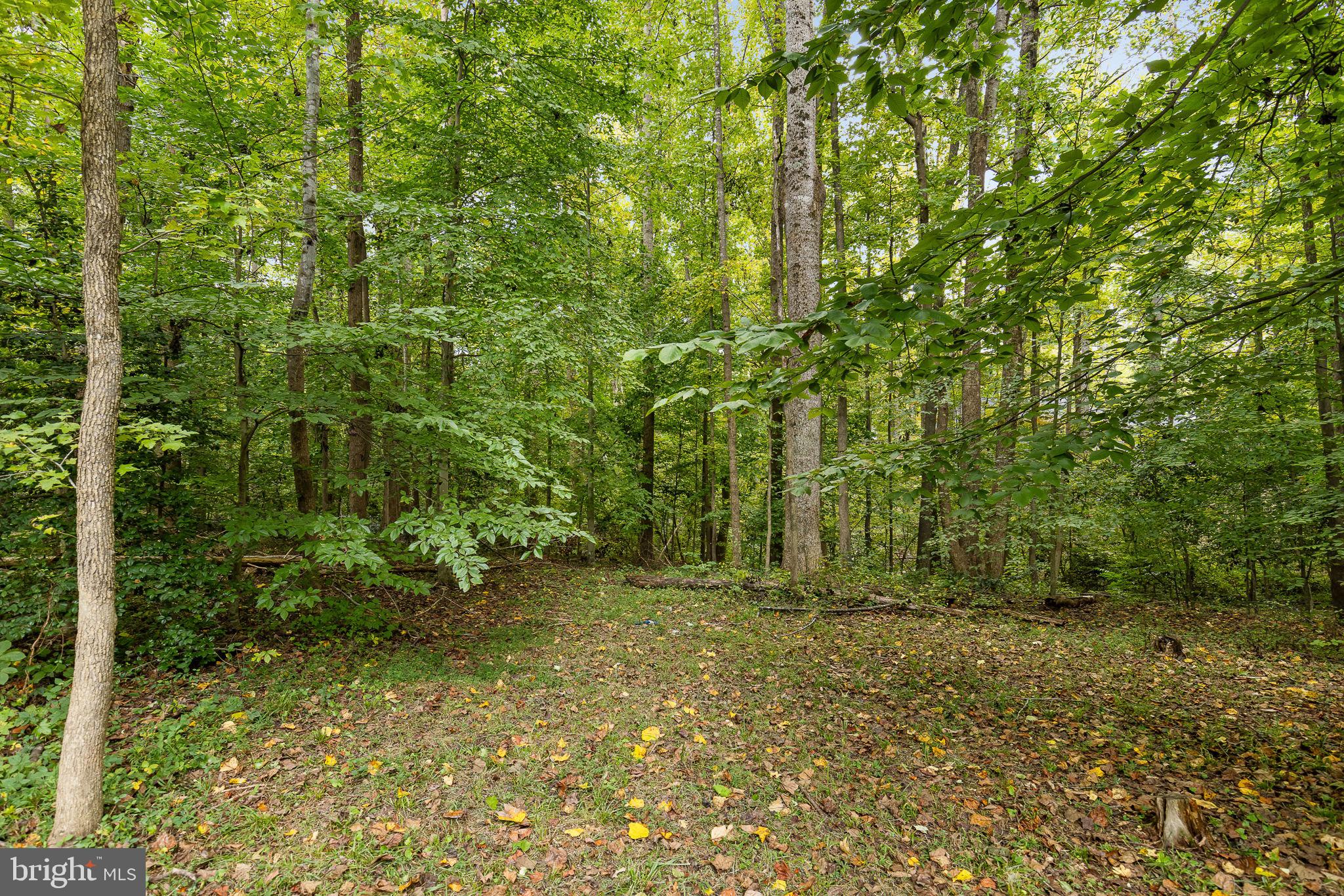 10000 KNOTTY PINE COURT