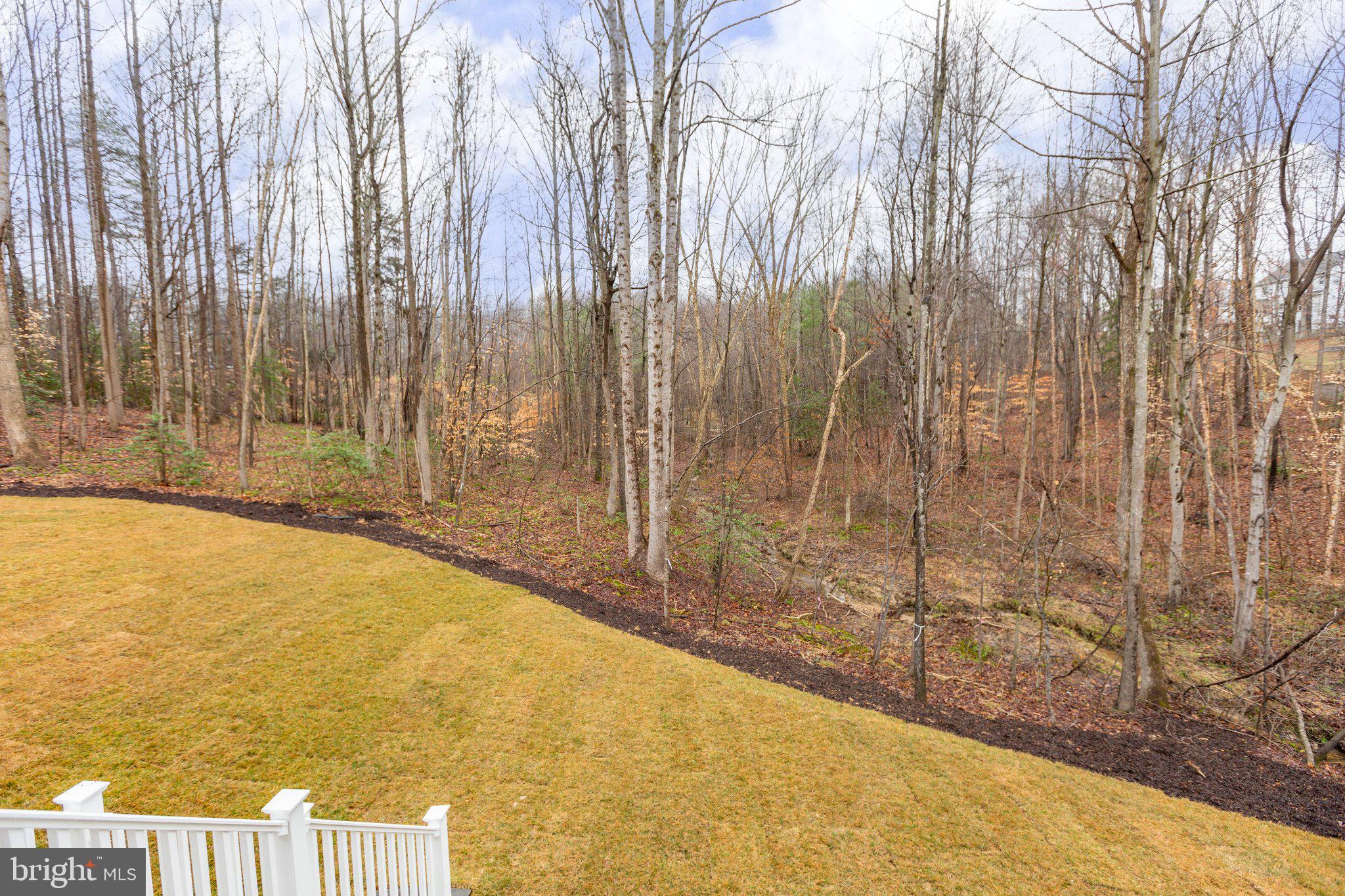 10214 EDINBURGH DRIVE