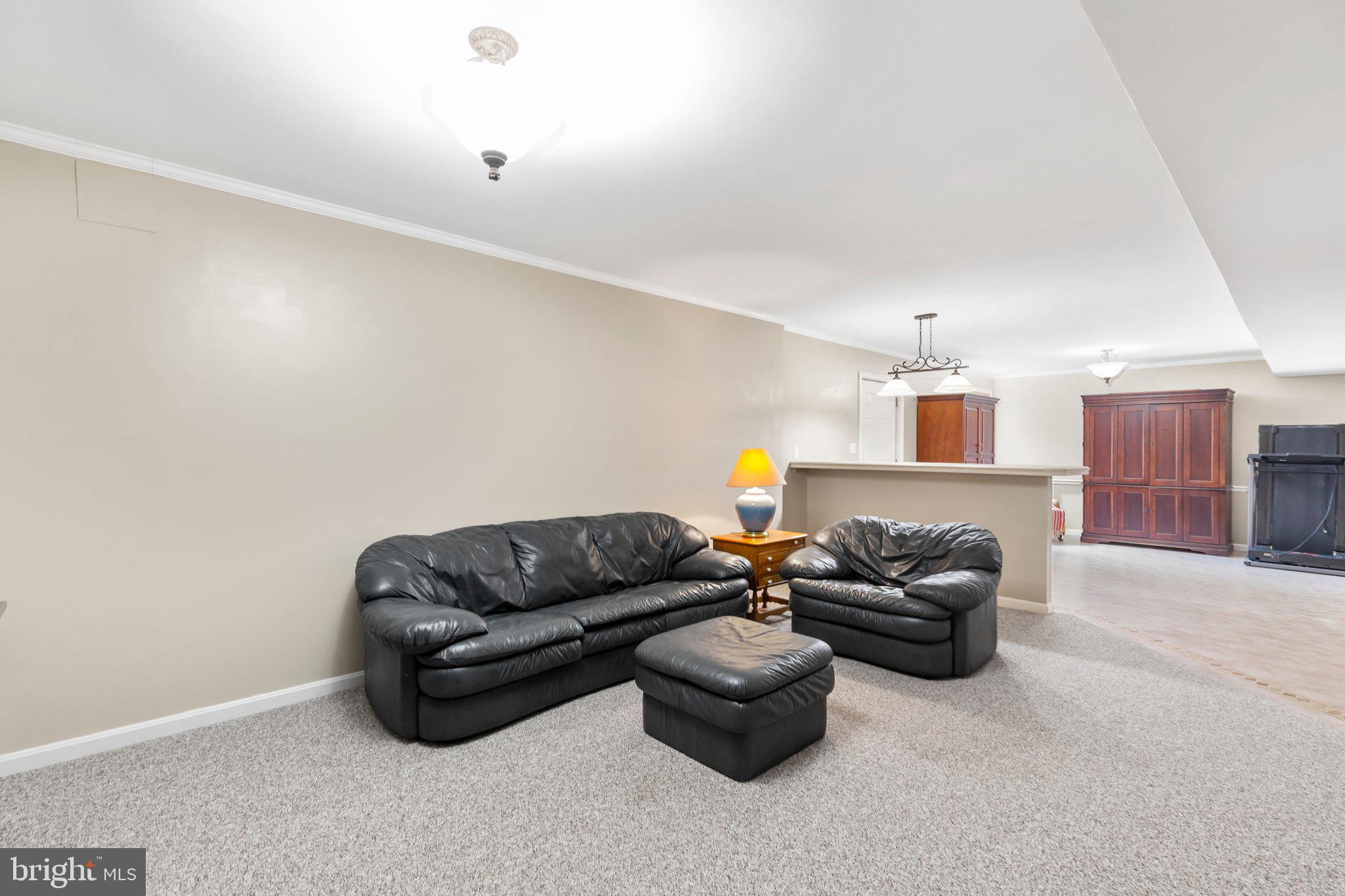 10408 WILLOW CREEK COURT