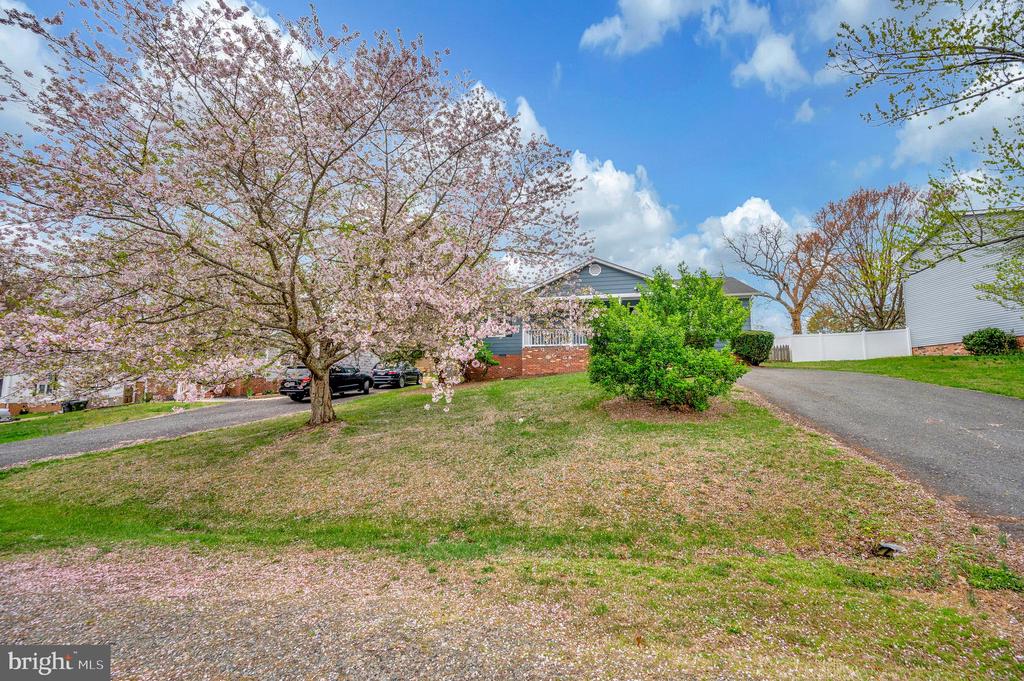 6806 REDGROUND ROAD