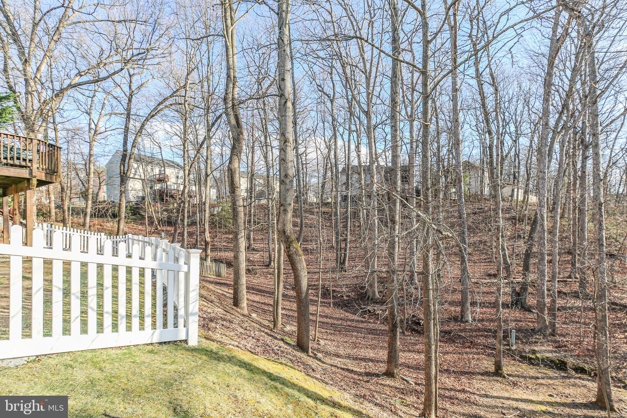 10108 Colechester St