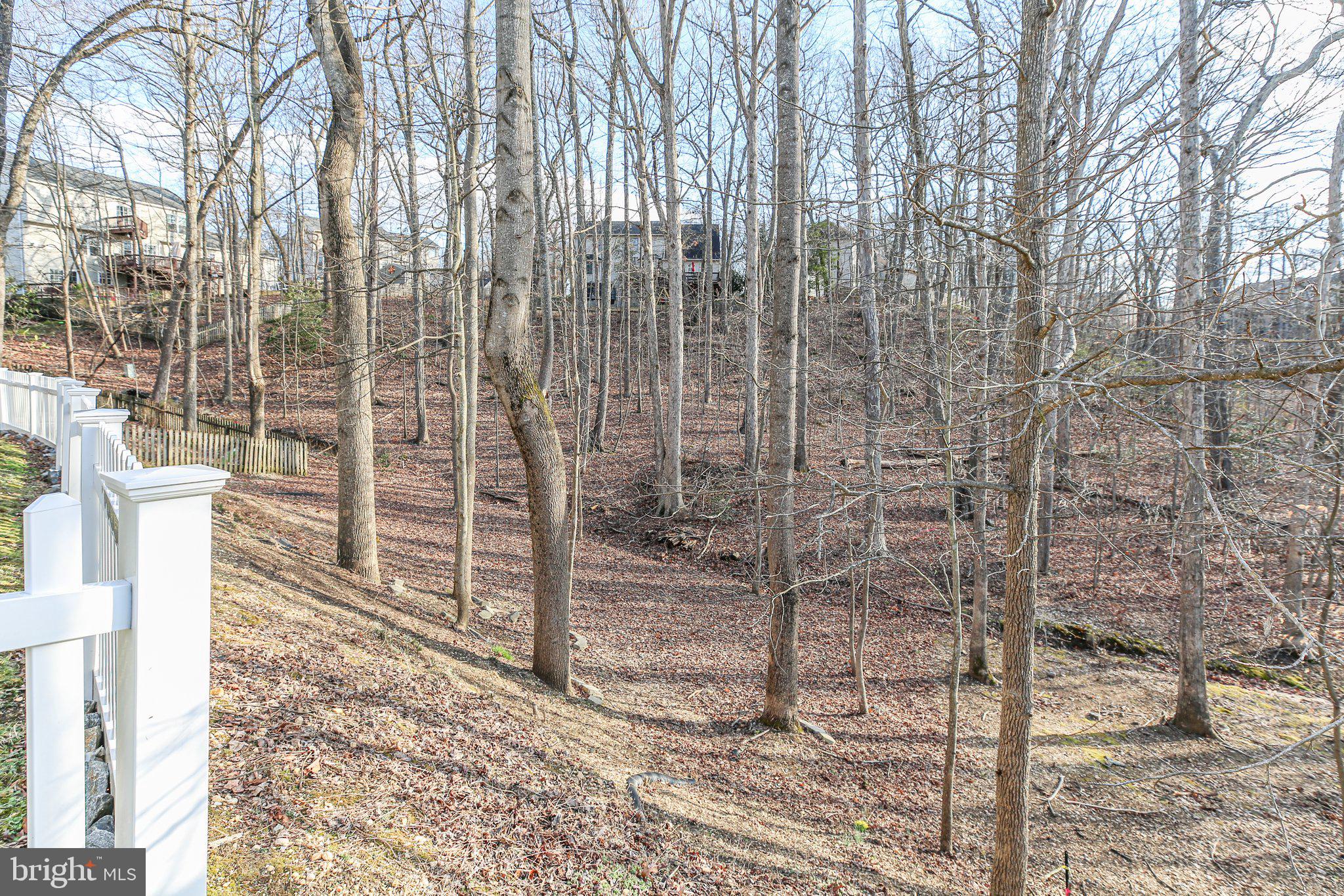 10108 Colechester St