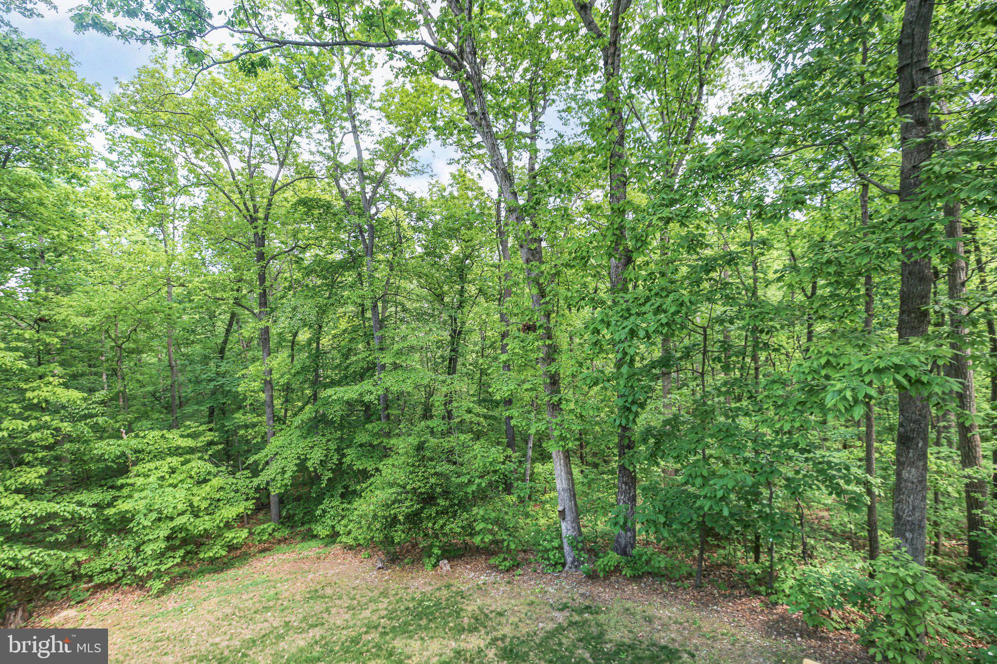 9711 Gunston Hall Rd