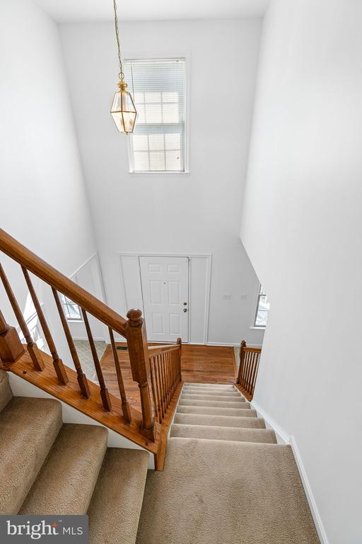 9610 HICKORY HILL DRIVE