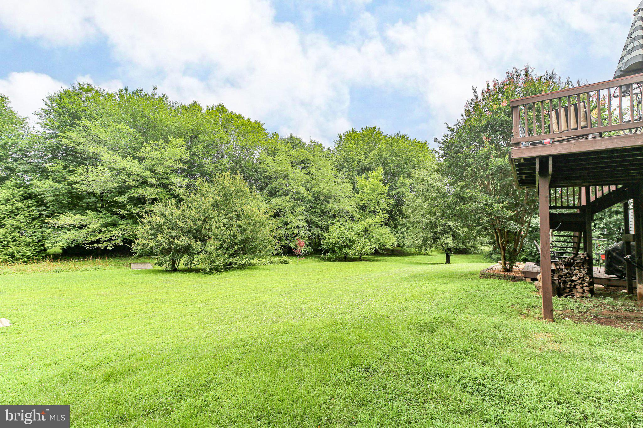 10708 LIVE OAK COURT