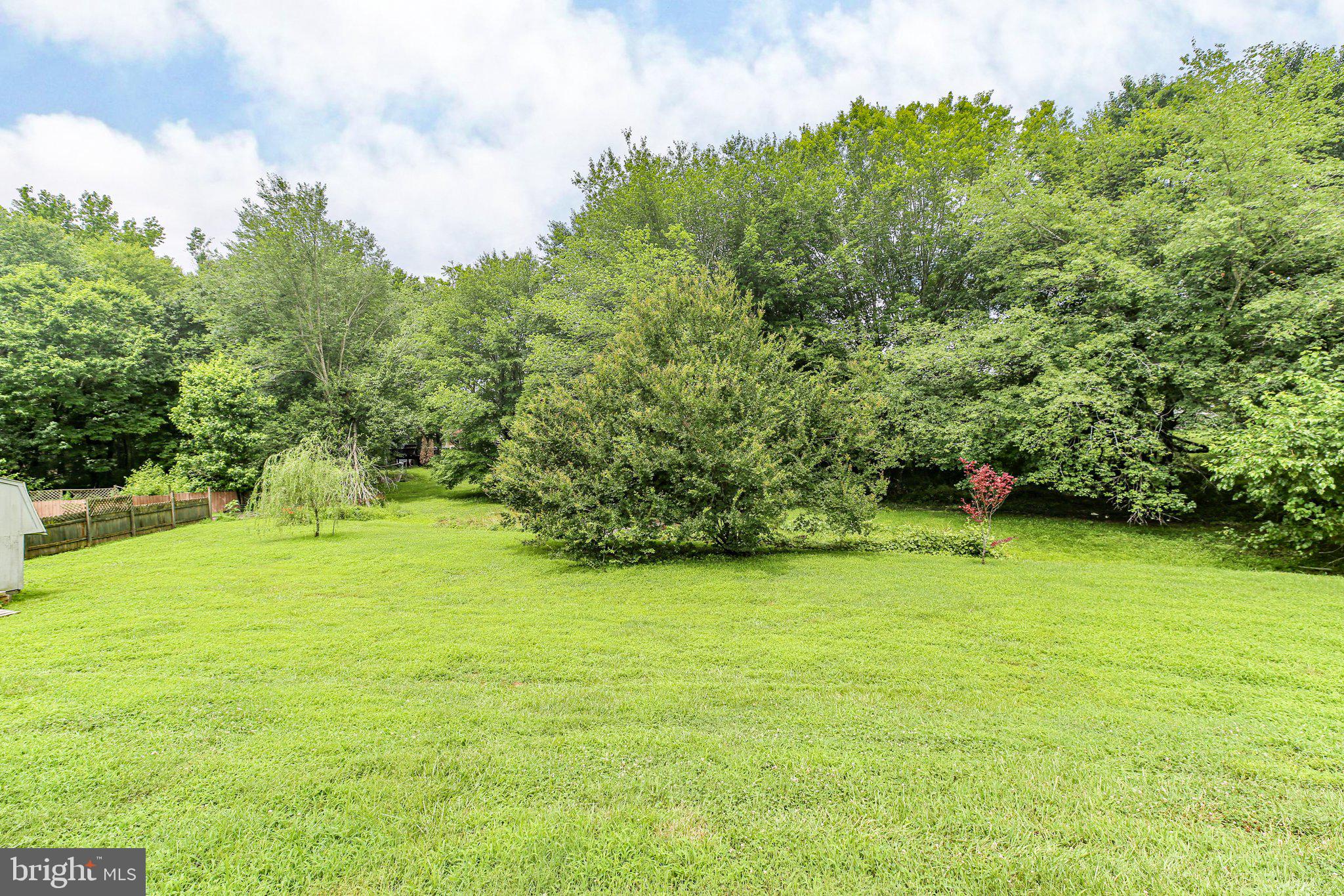 10708 LIVE OAK COURT