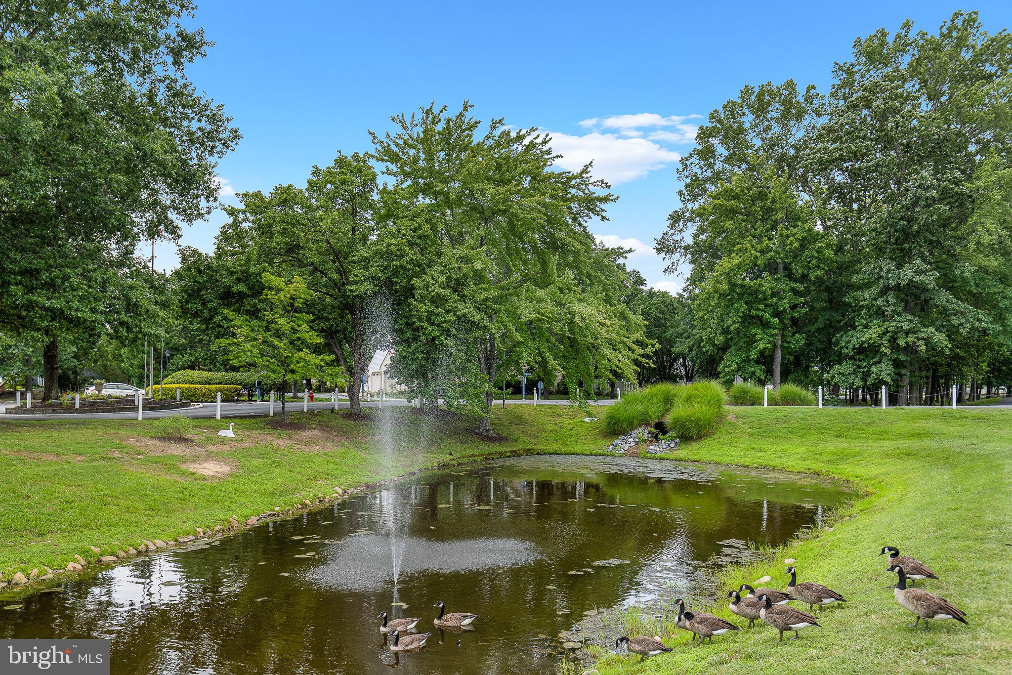 11223 STONE MILL COURT