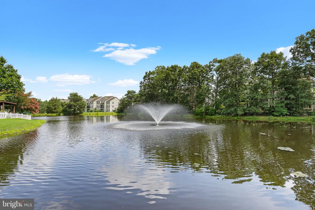 11223 STONE MILL COURT
