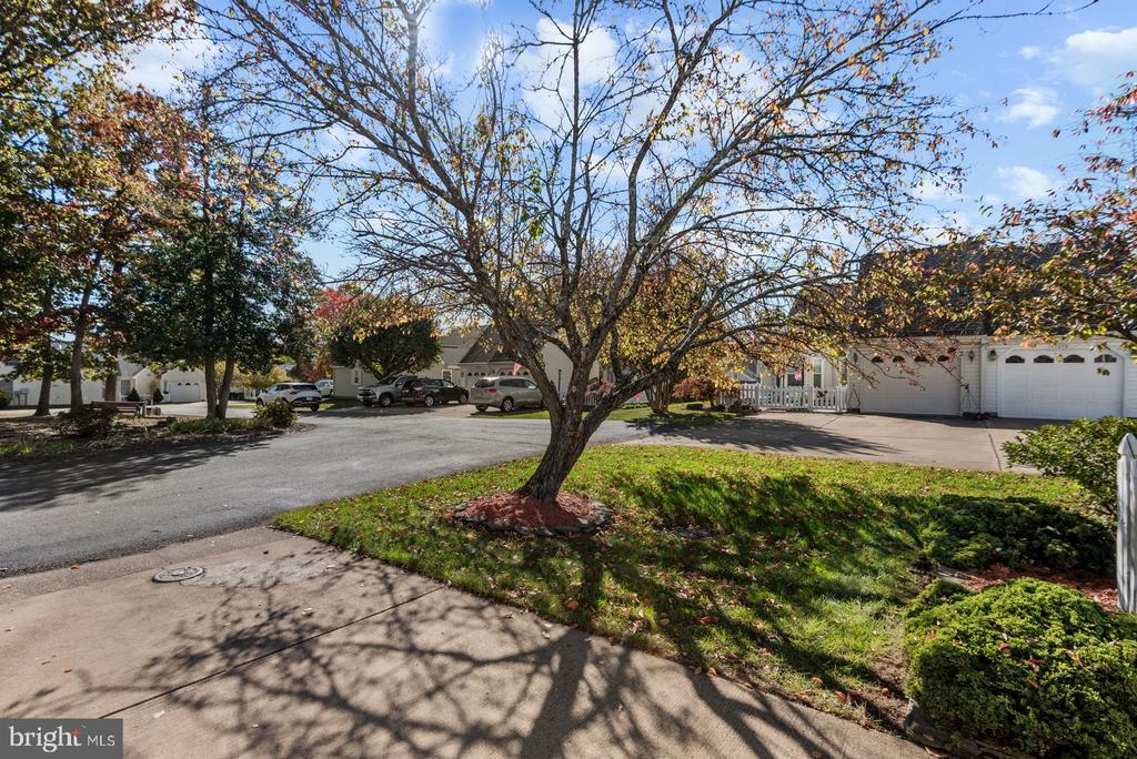 11471 CHARLESTON COURT