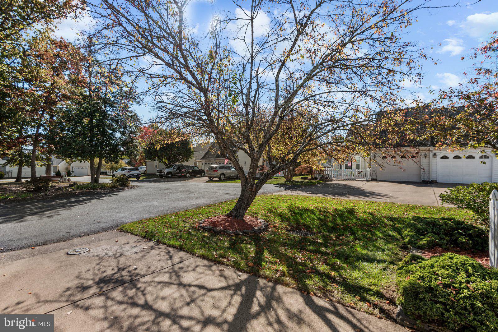 11471 CHARLESTON COURT