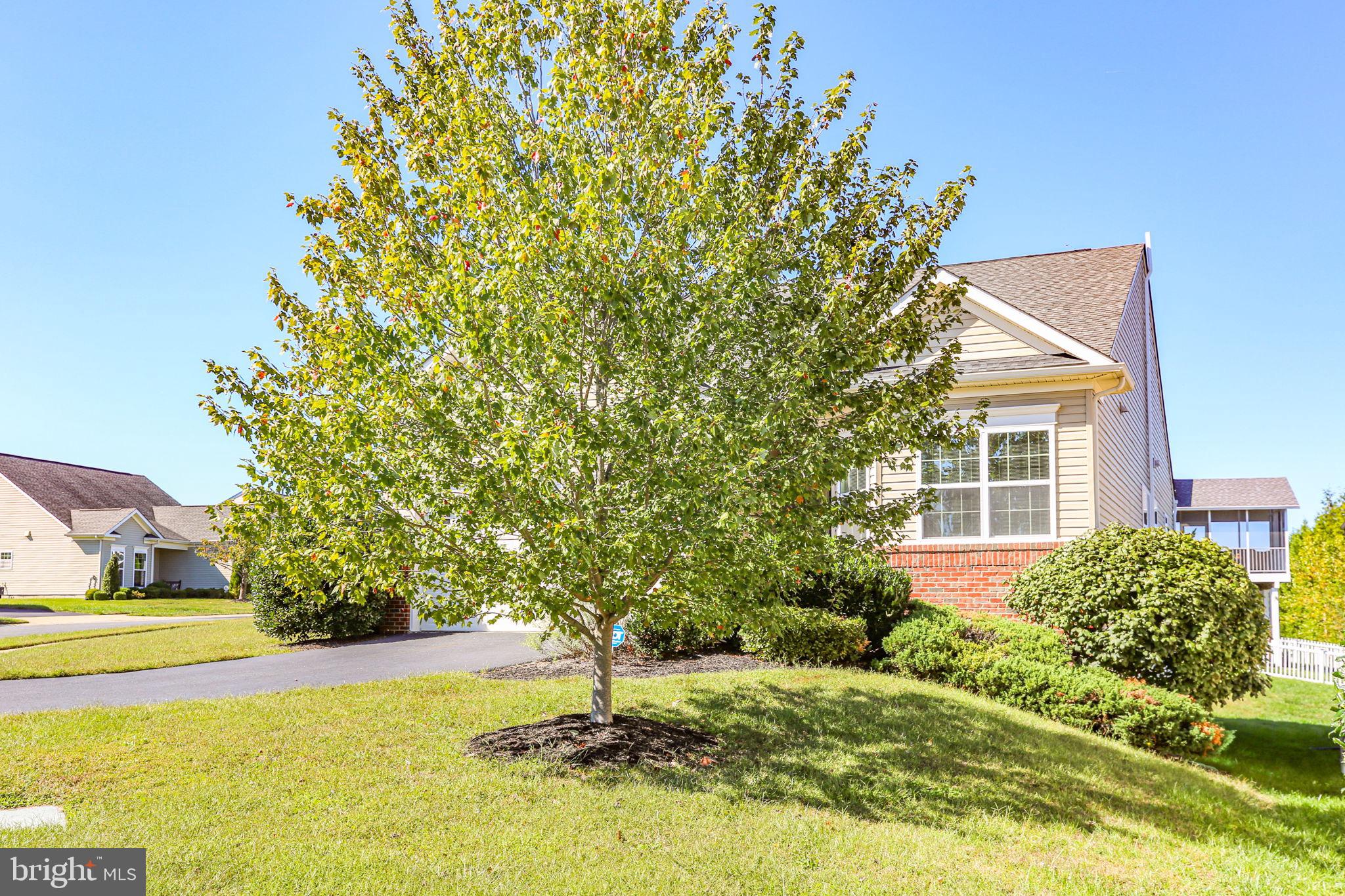 5631 CEDAR MOUNTAIN COURT