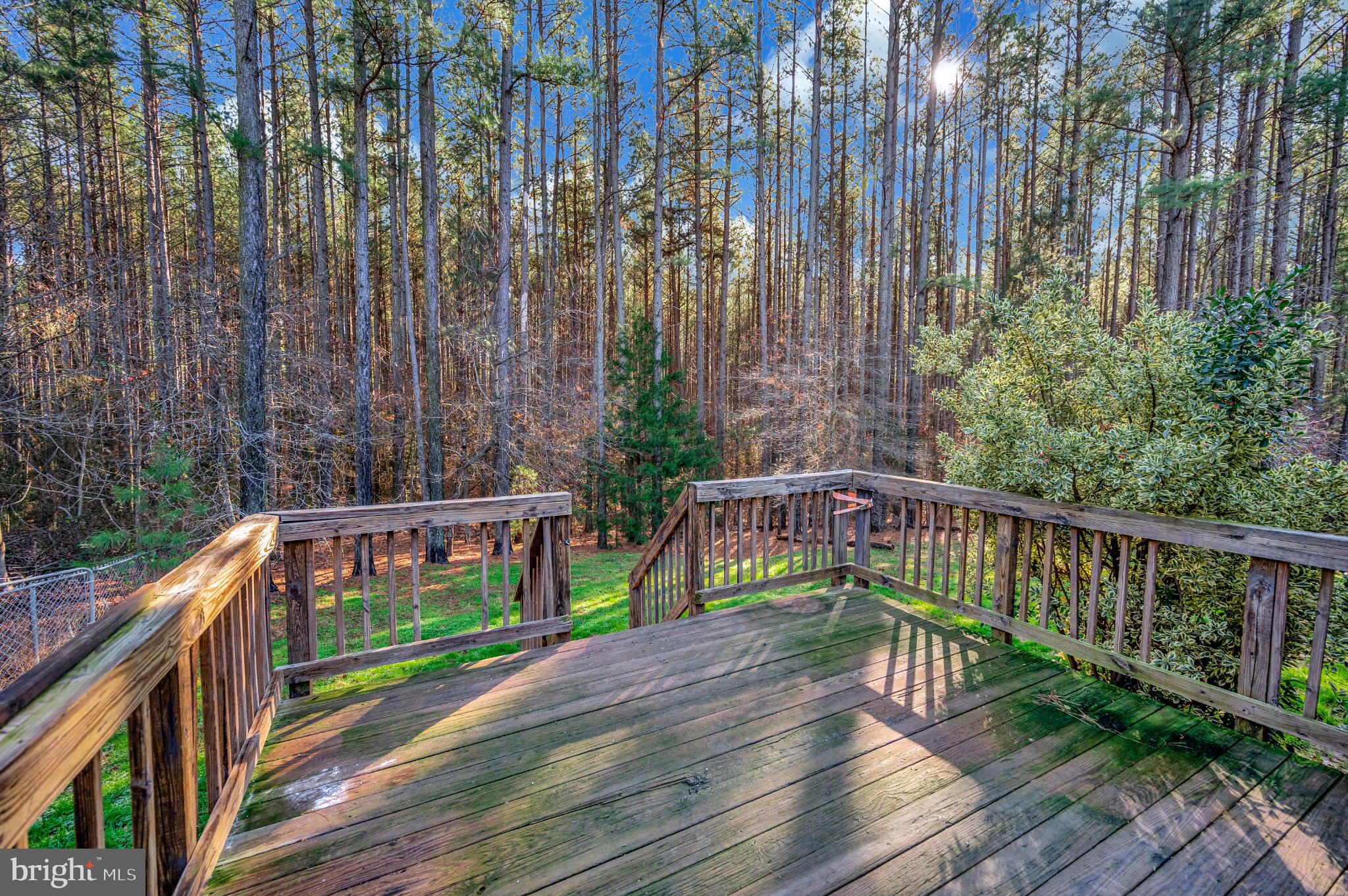 11532 TAYLOR RIDGE WAY