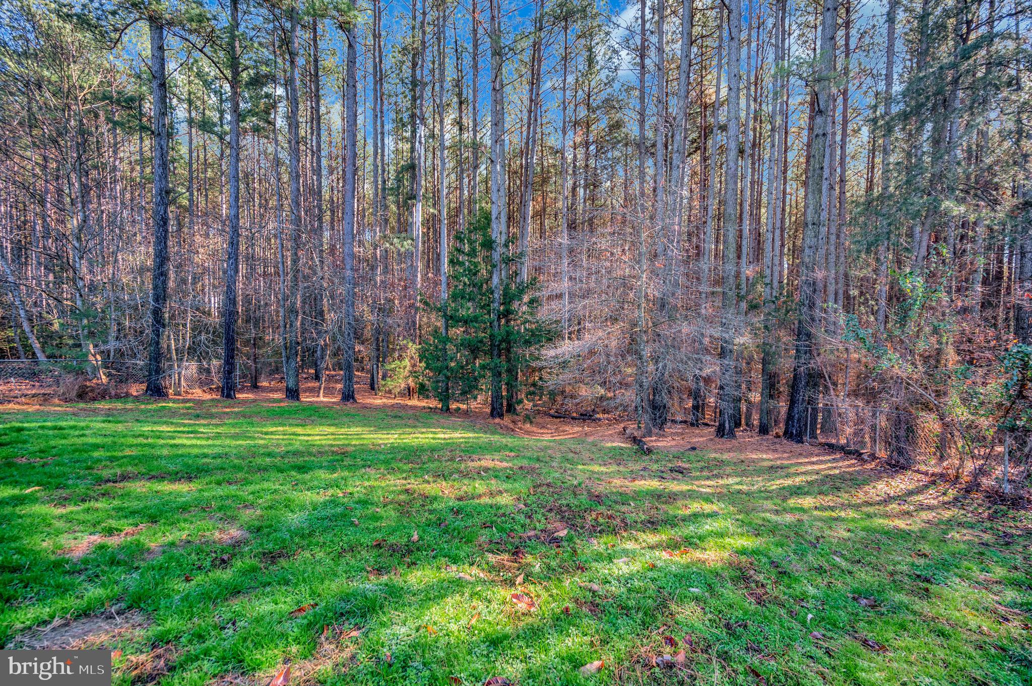 11532 TAYLOR RIDGE WAY