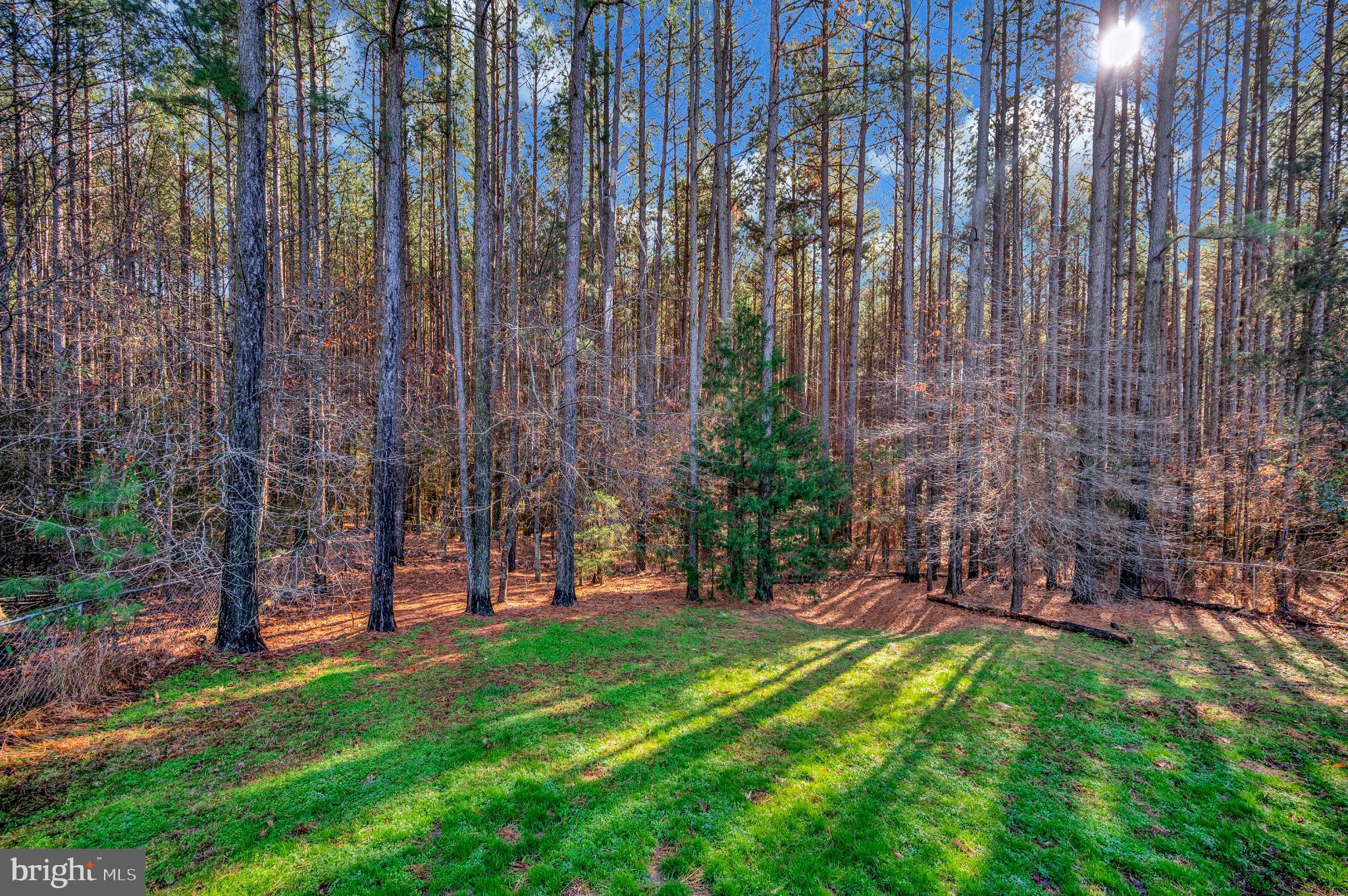 11532 TAYLOR RIDGE WAY