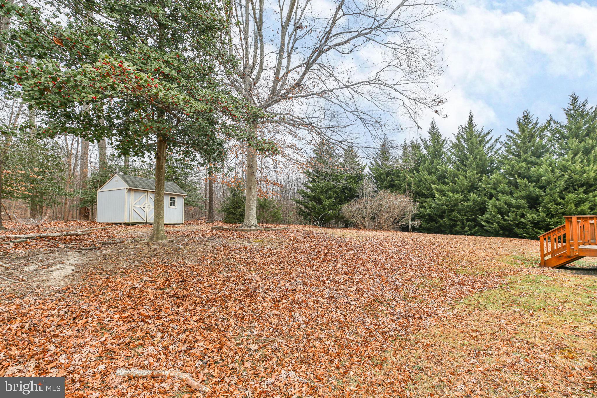 11210 SPRINGFIELD DRIVE