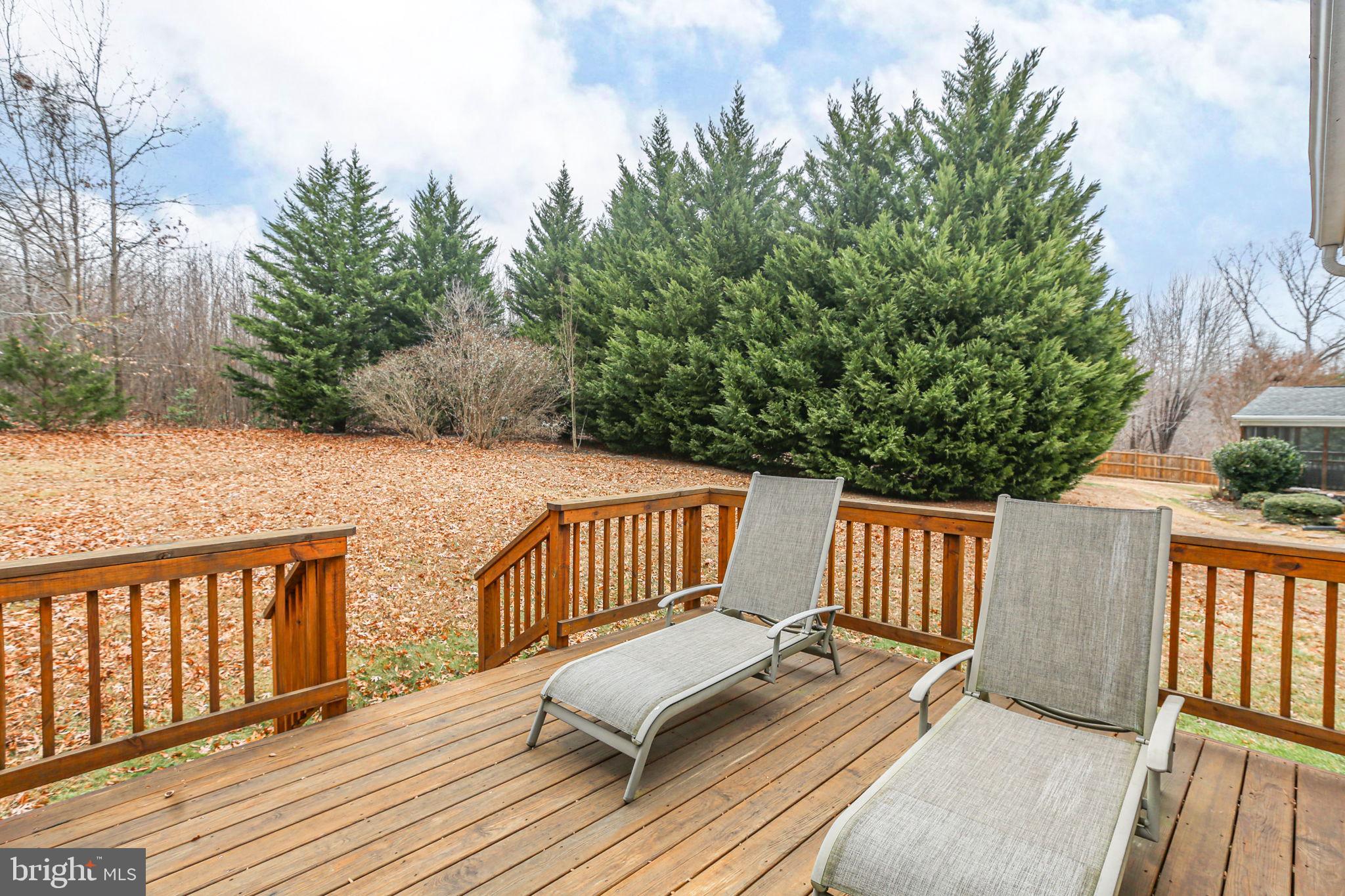 11210 SPRINGFIELD DRIVE