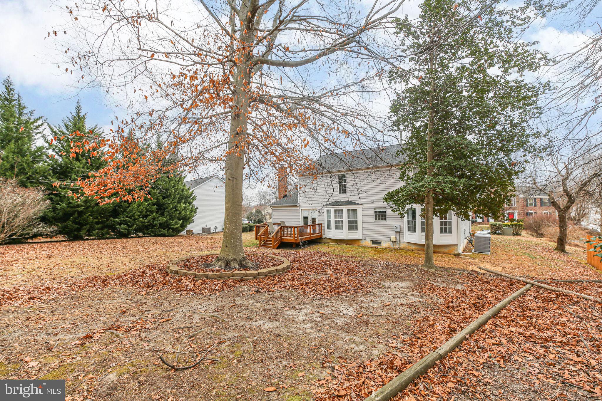 11210 SPRINGFIELD DRIVE