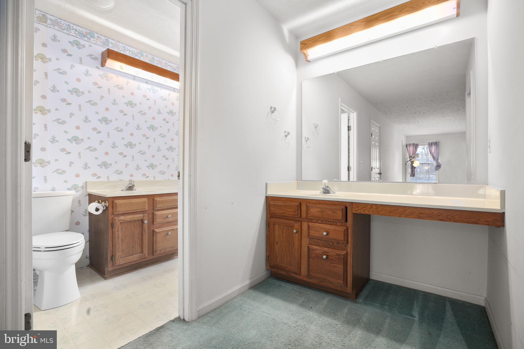 11210 SPRINGFIELD DRIVE