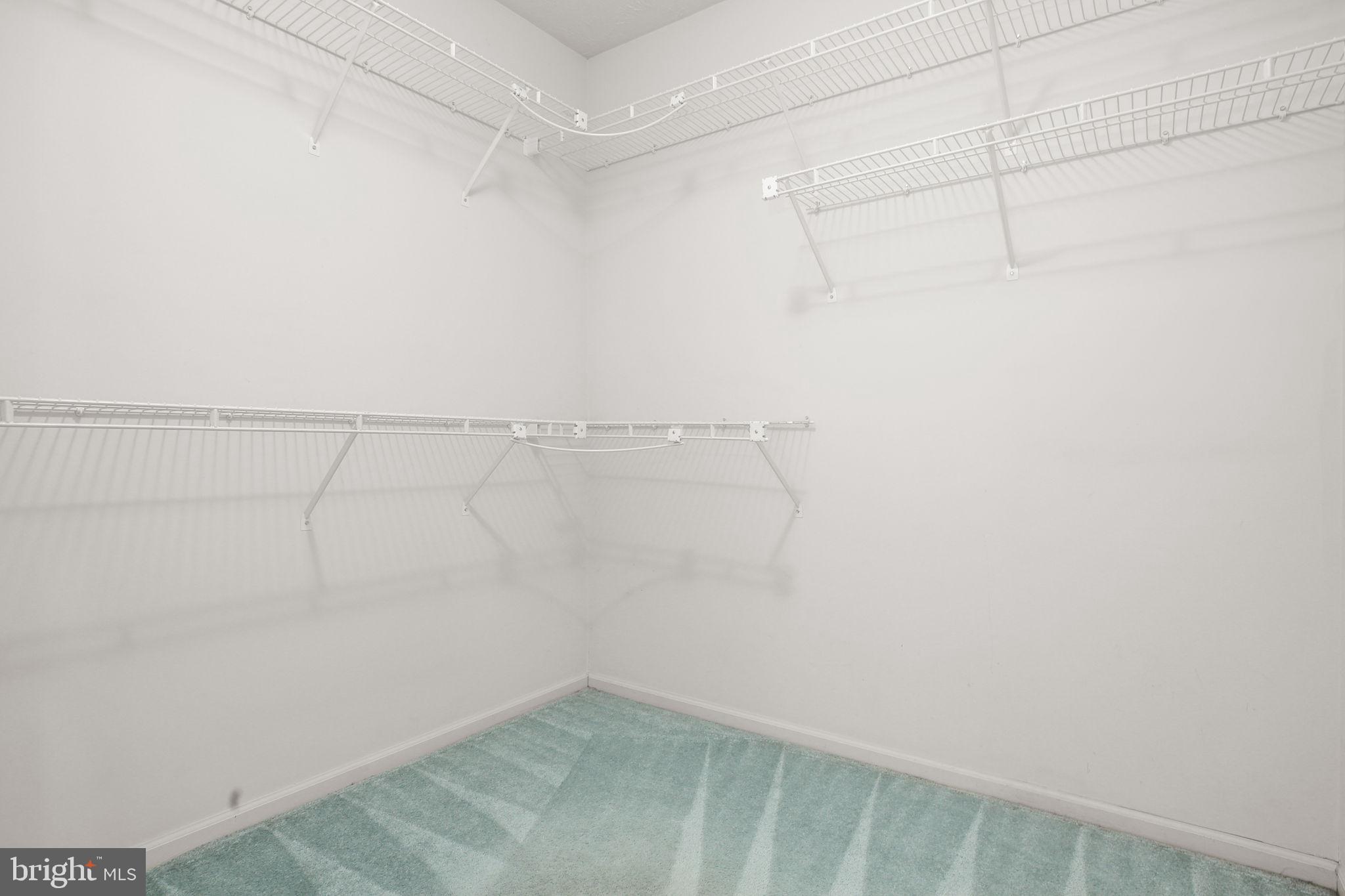 11210 SPRINGFIELD DRIVE