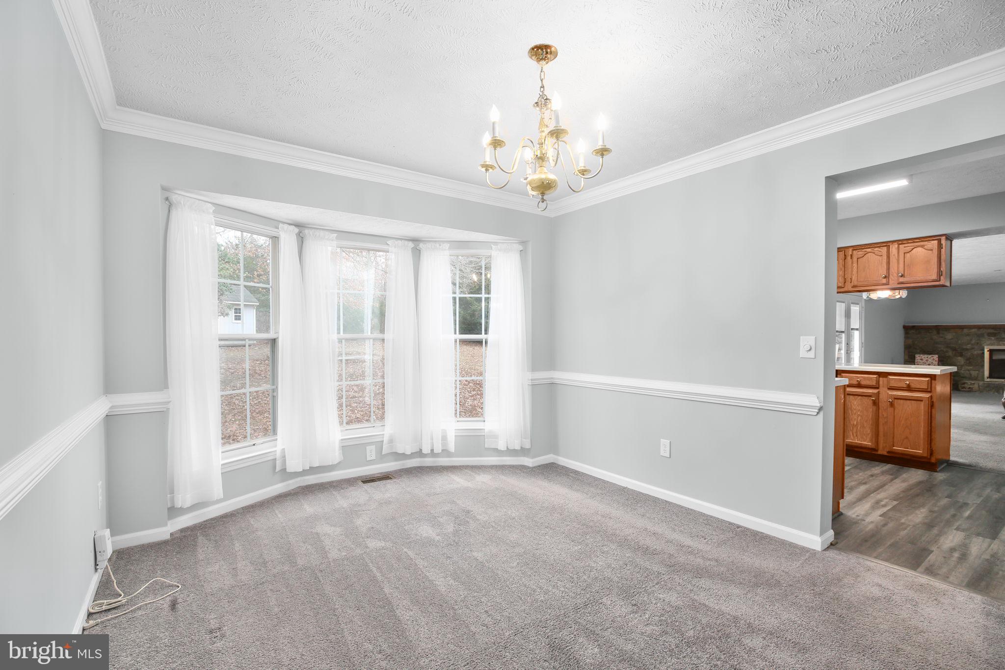 11210 SPRINGFIELD DRIVE