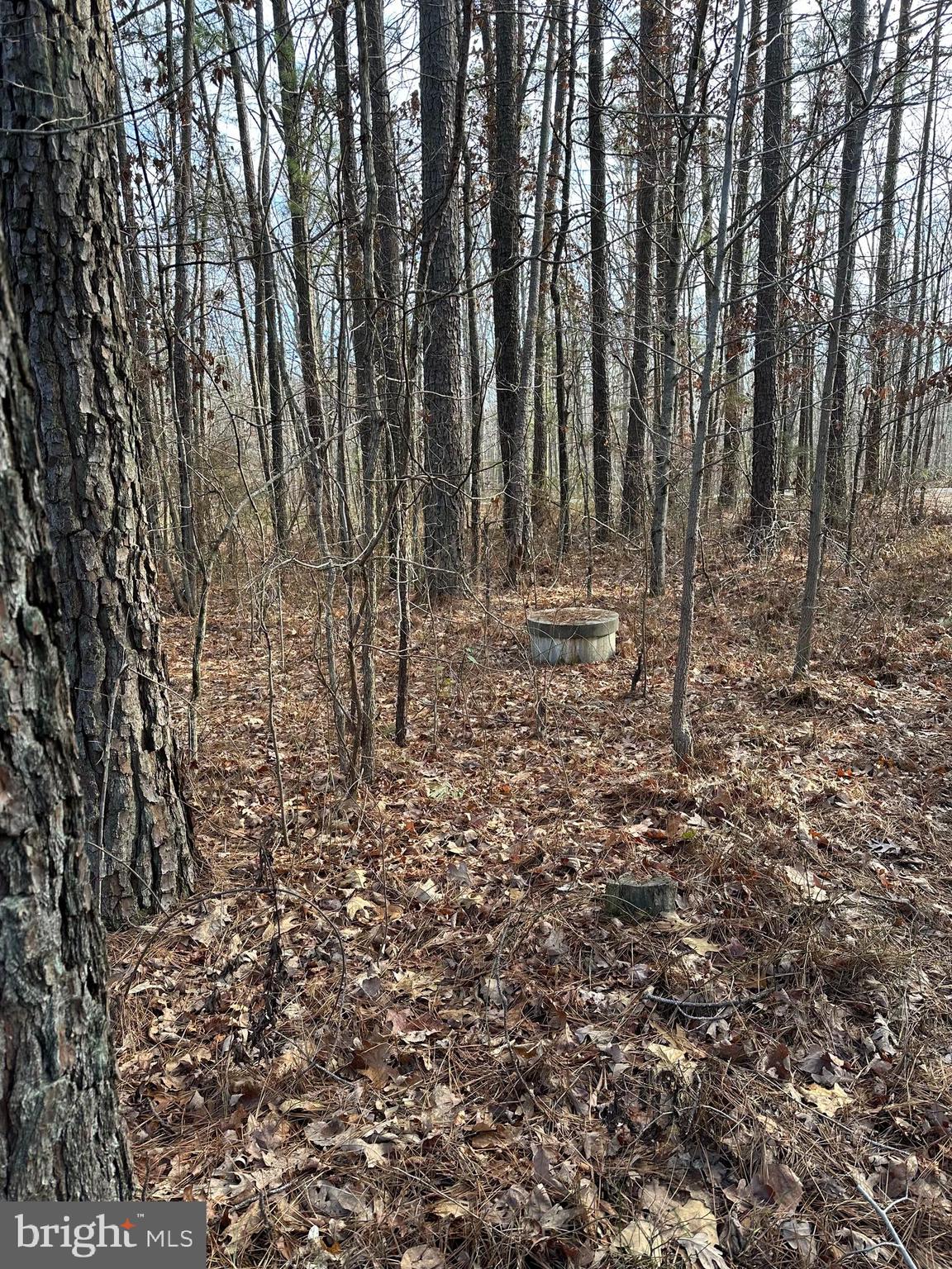 13319 W CATHARPIN ROAD